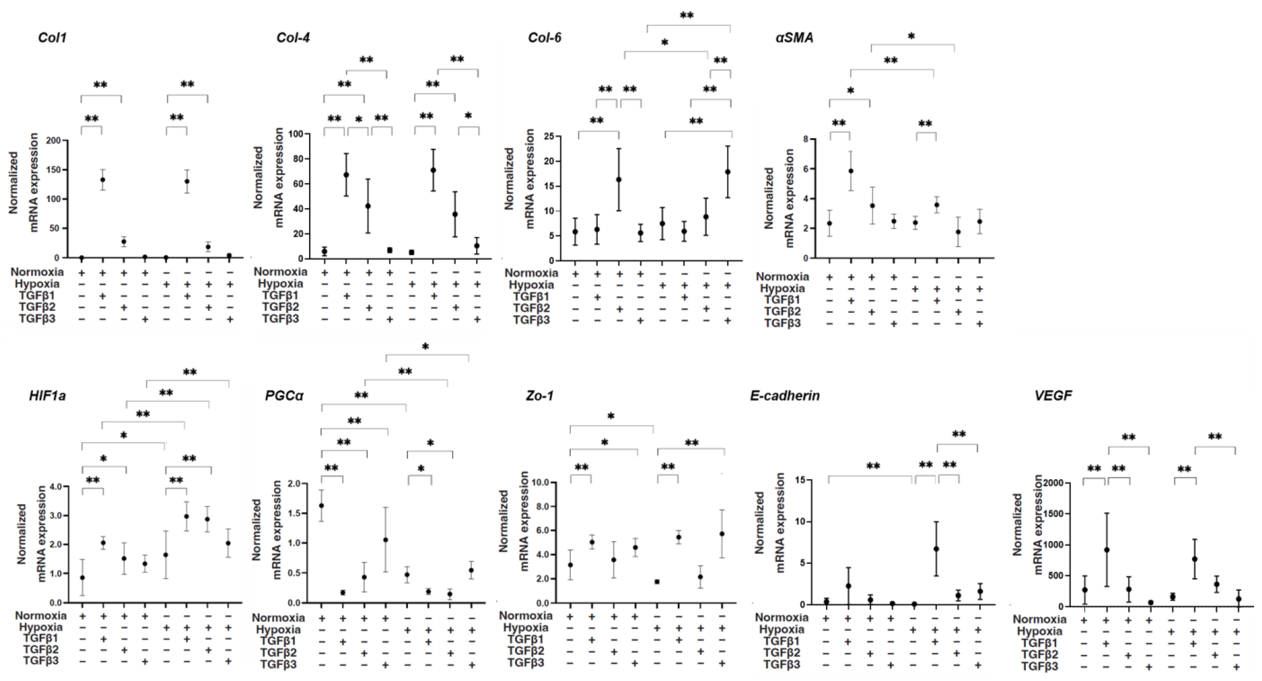 Bioengineering 11 00581 g002
