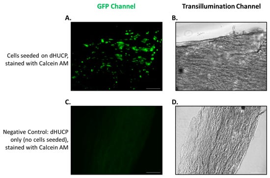 Bioengineering 11 00588 g0a1