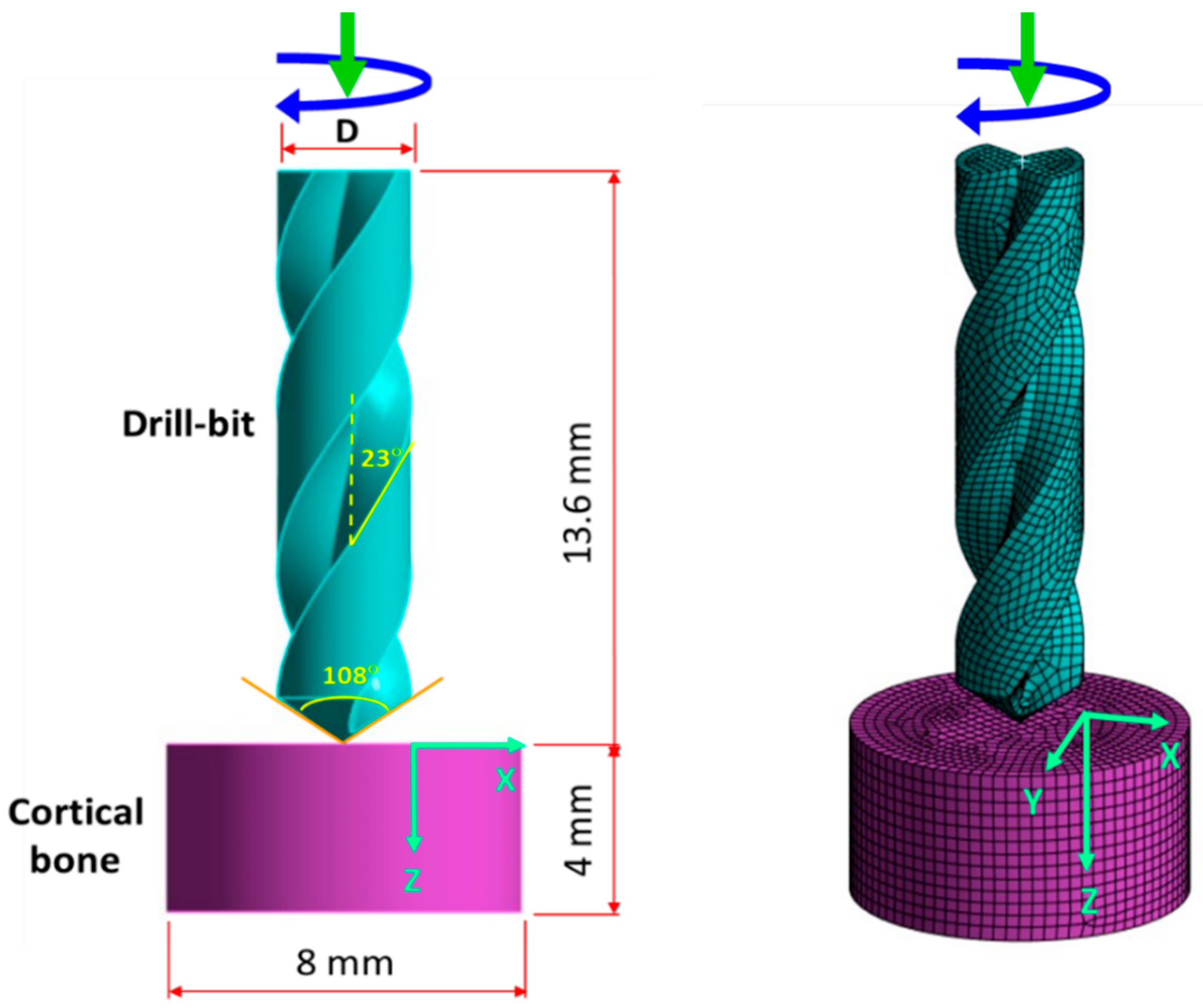 Bioengineering 11 00592 g001