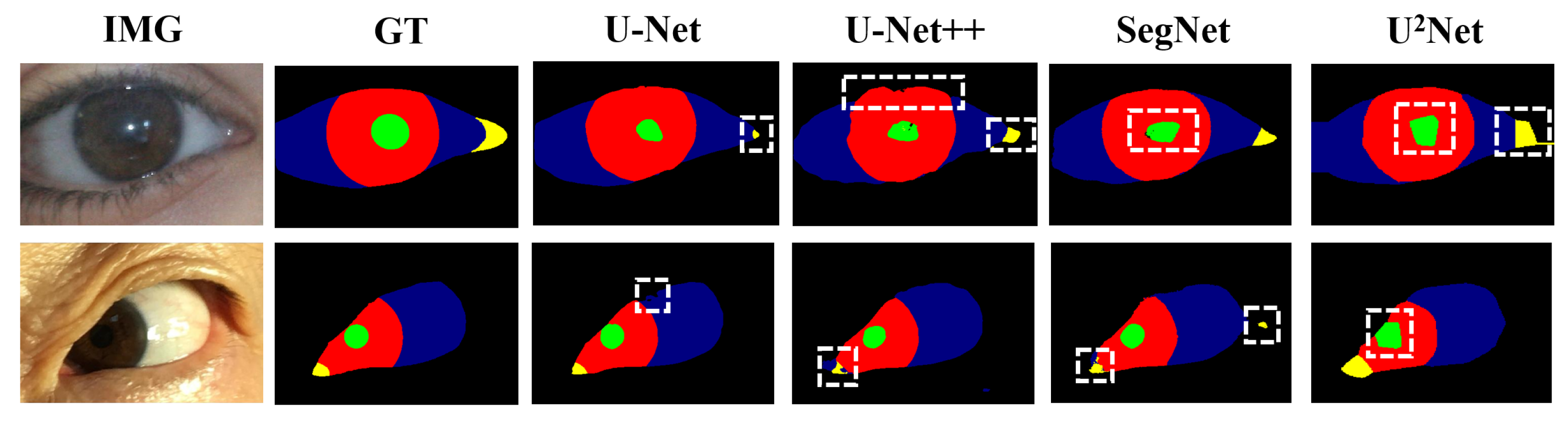 Bioengineering 11 00595 g004