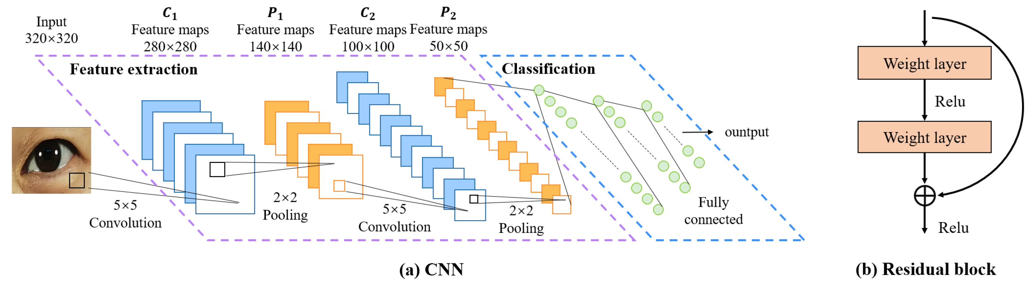Bioengineering 11 00595 g005