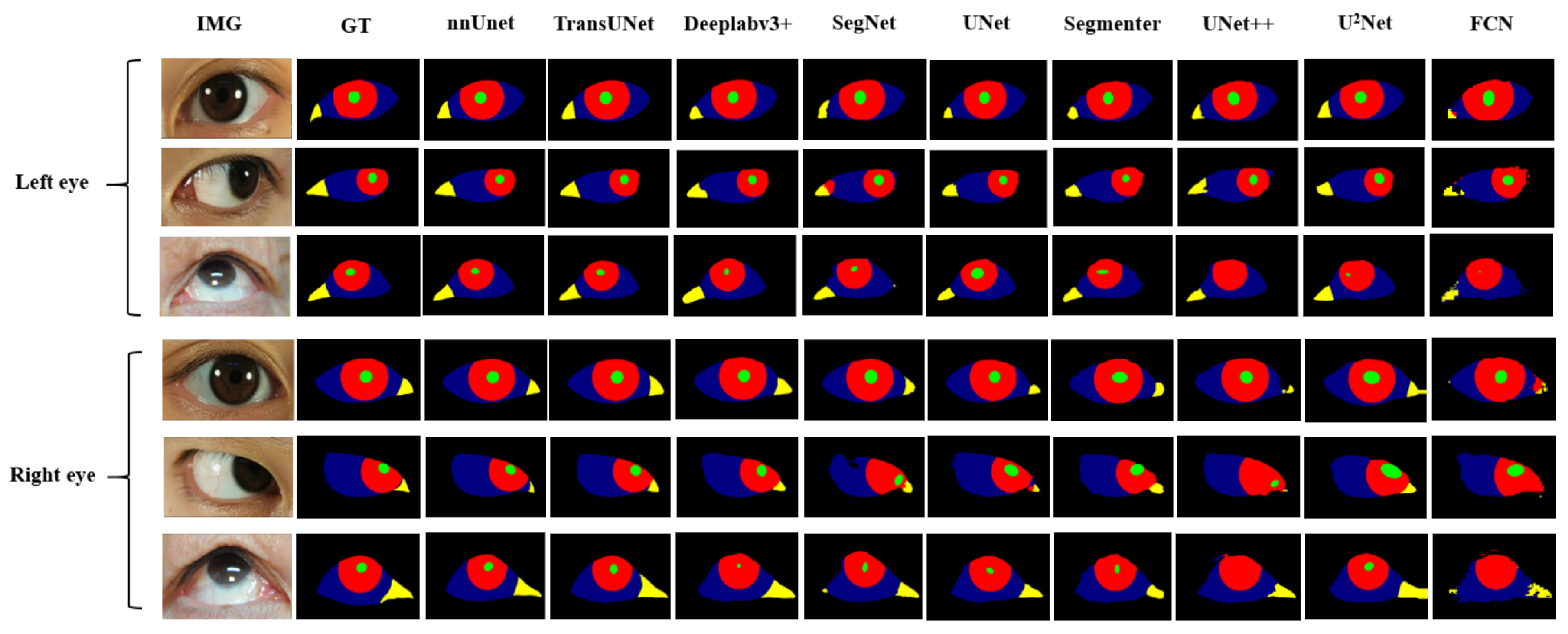 Bioengineering 11 00595 g008