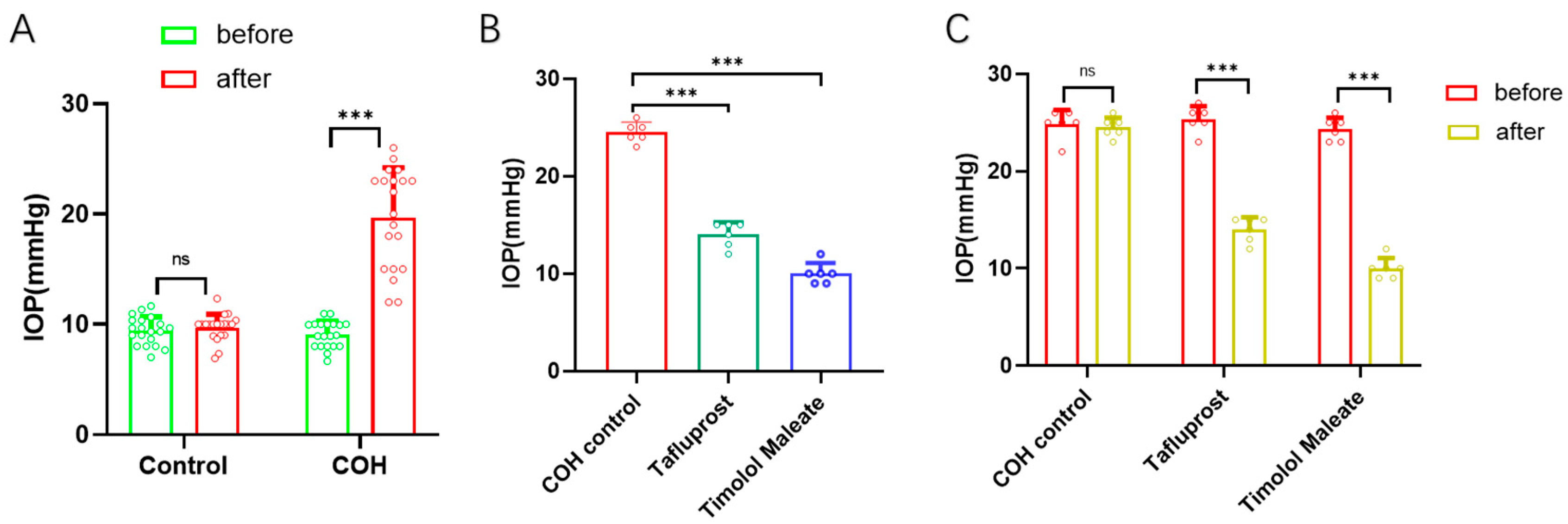 Bioengineering 11 00607 g002