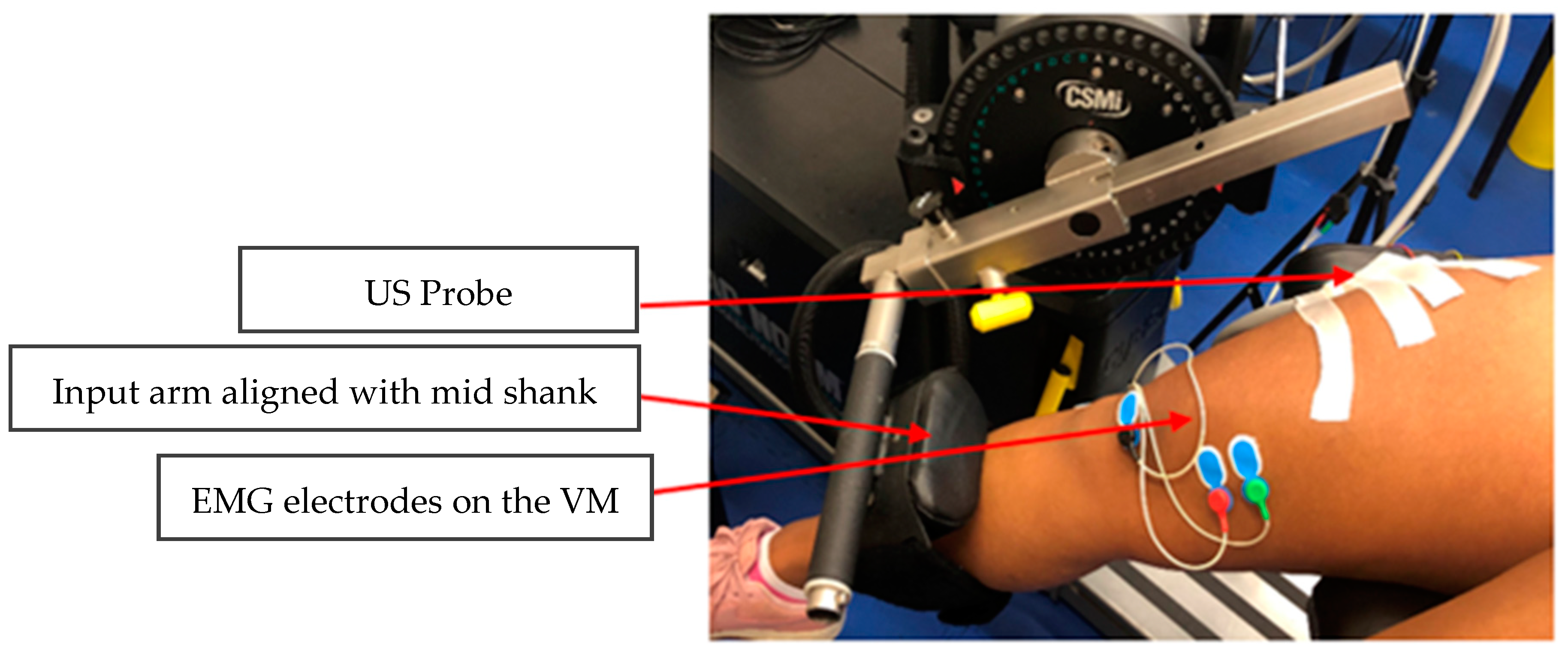 Bioengineering 11 00608 g002
