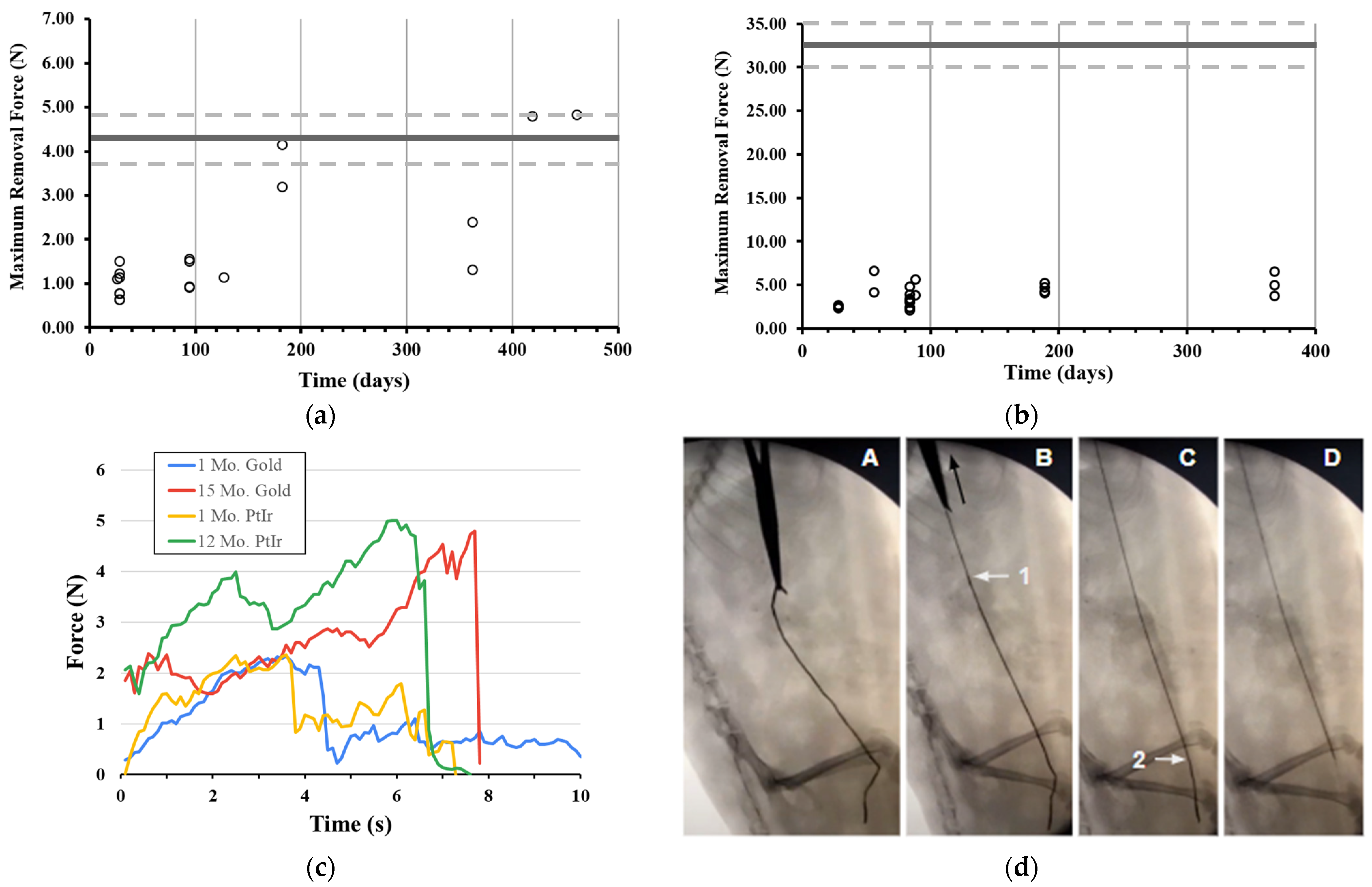 Bioengineering 11 00611 g004