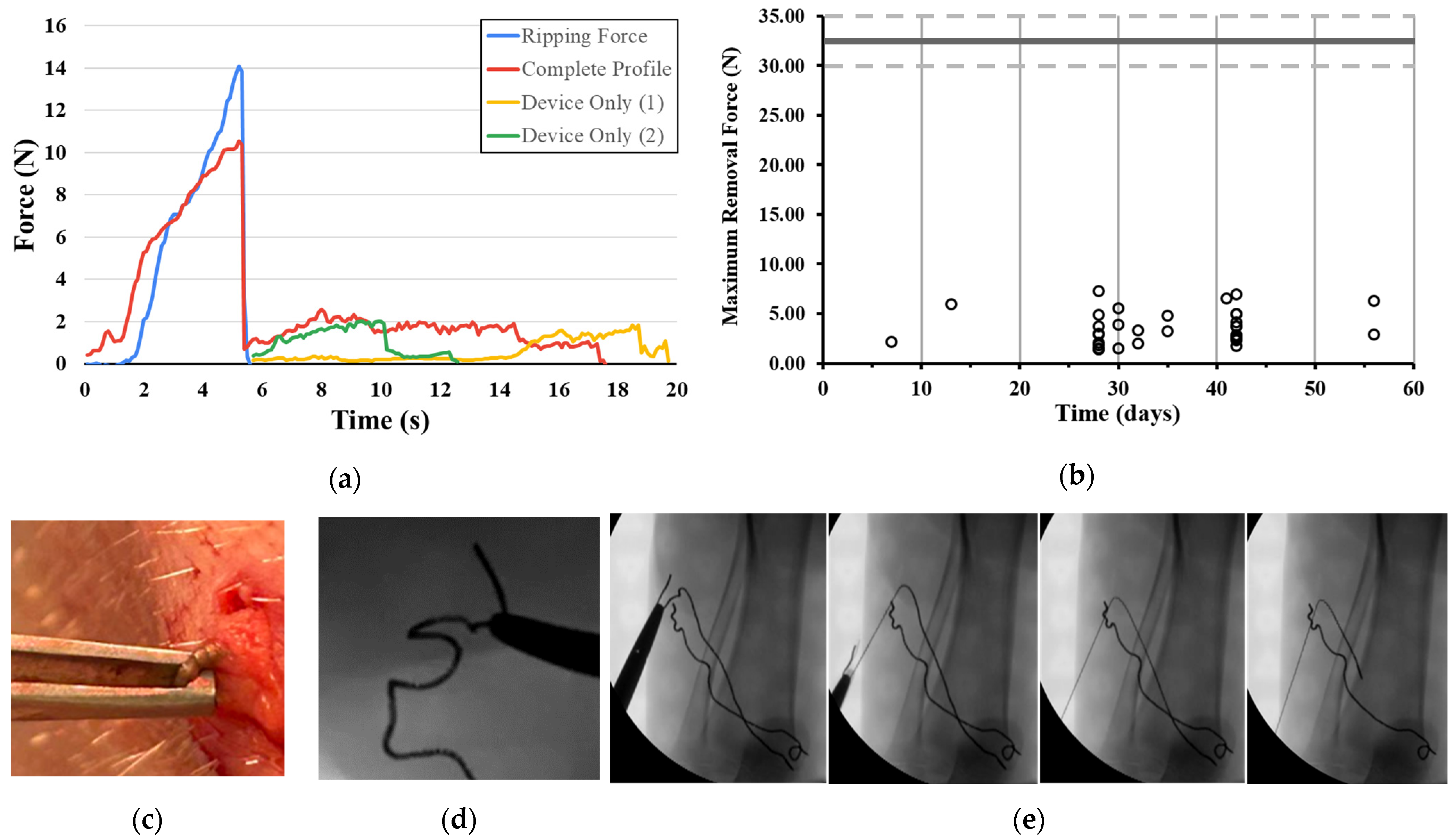 Bioengineering 11 00611 g005