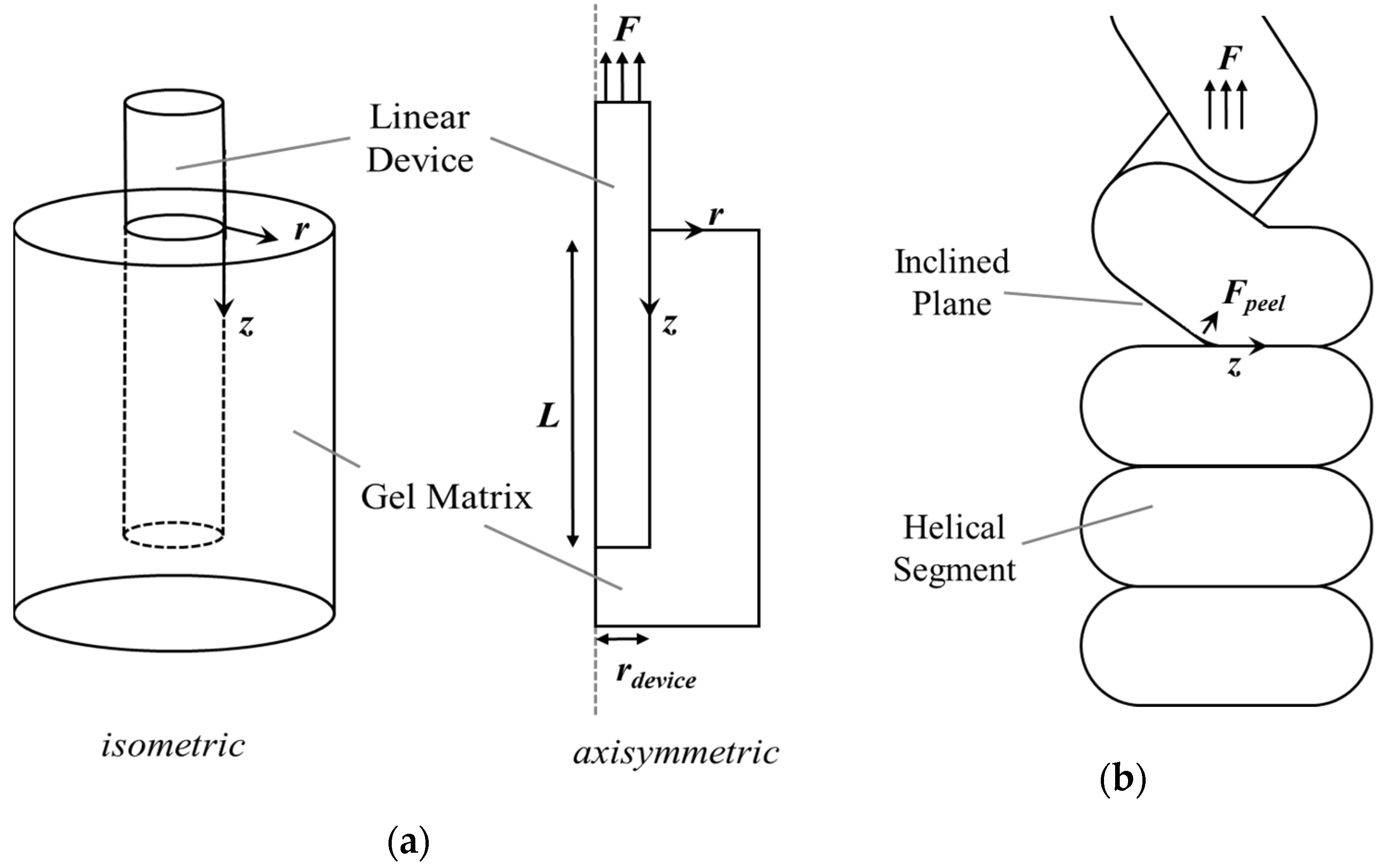 Bioengineering 11 00611 g007