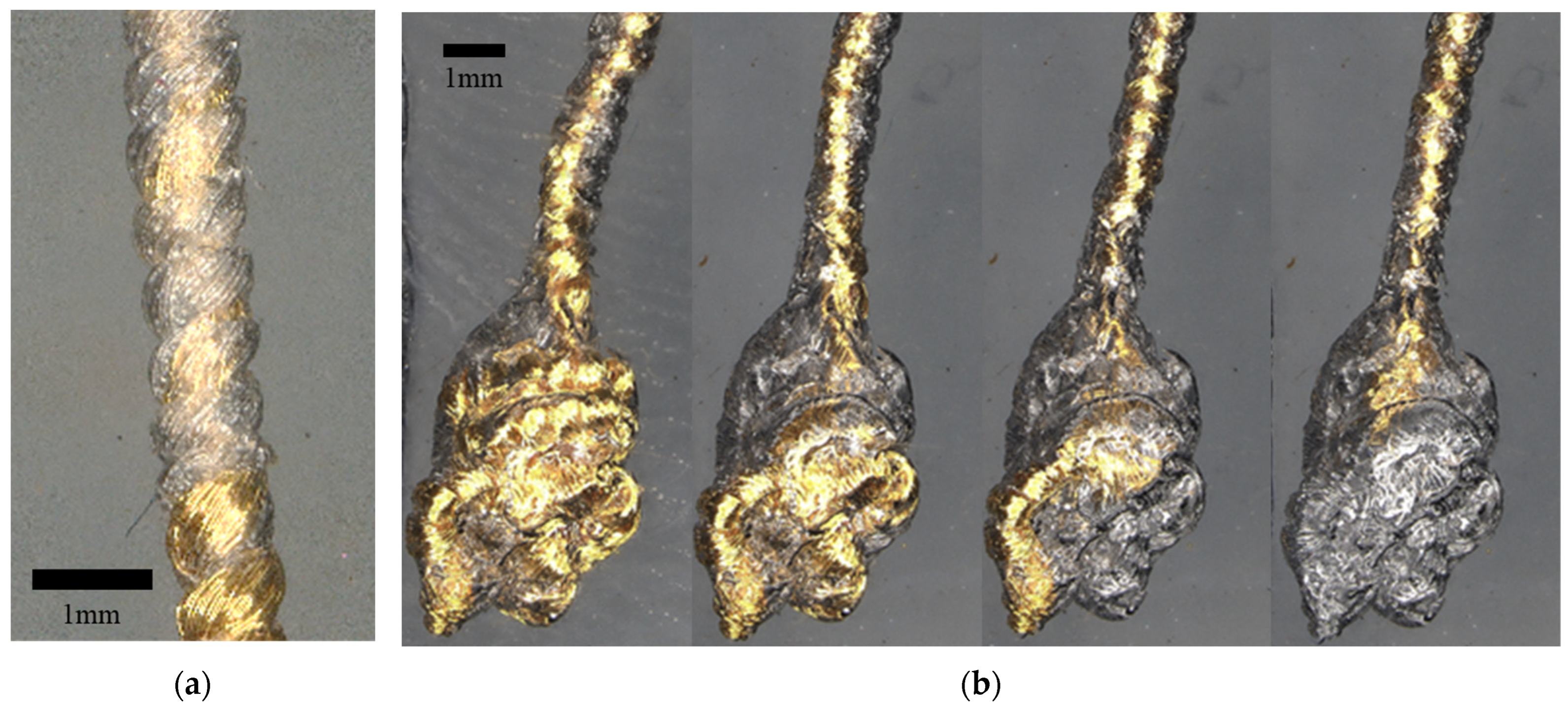 Bioengineering 11 00611 g008