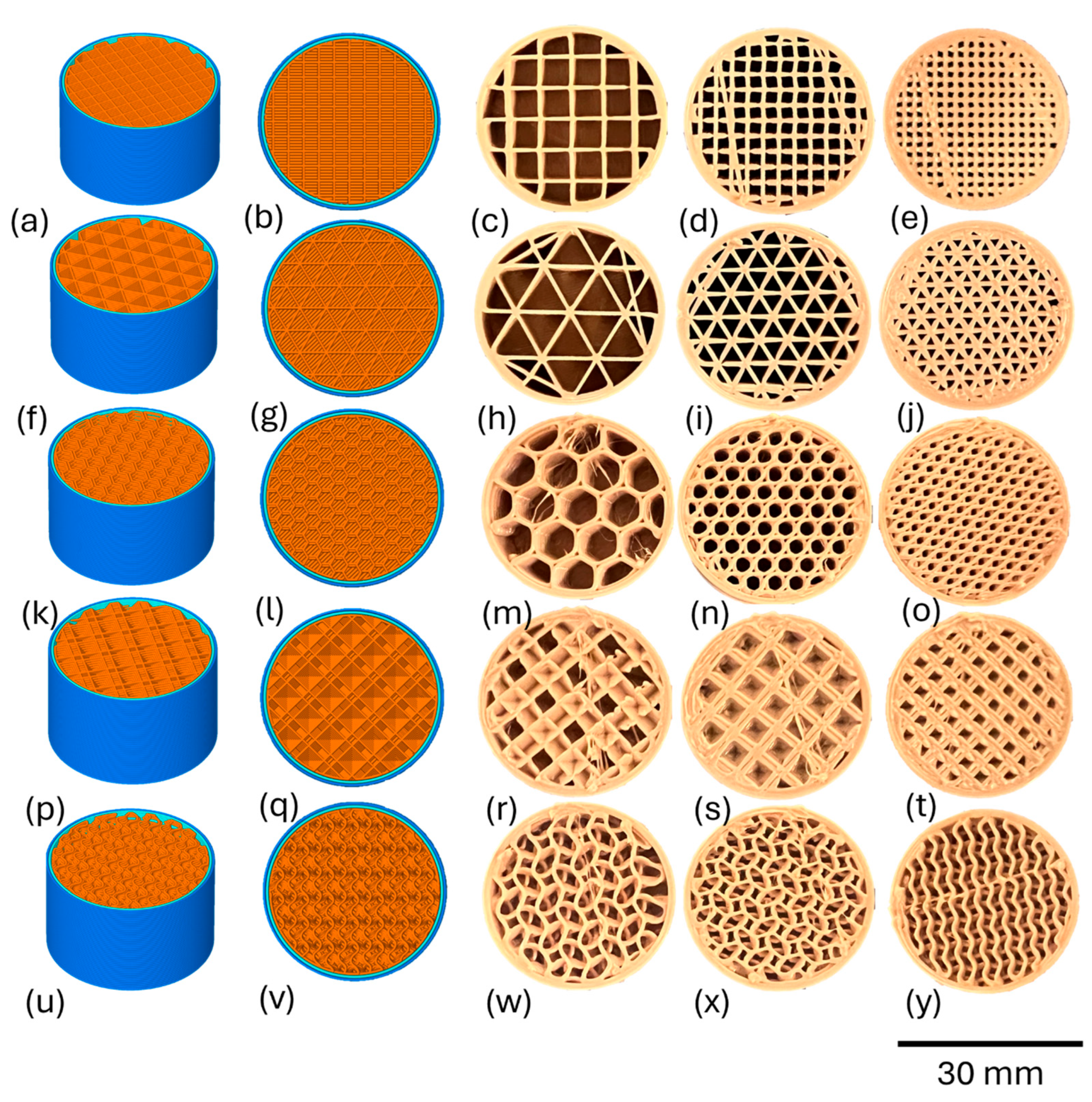 Bioengineering 11 00616 g001