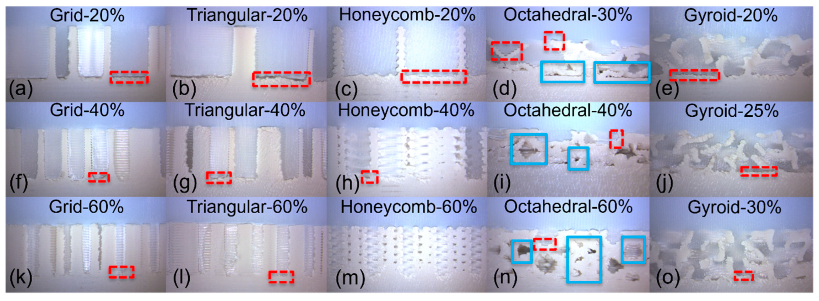 Bioengineering 11 00616 g005