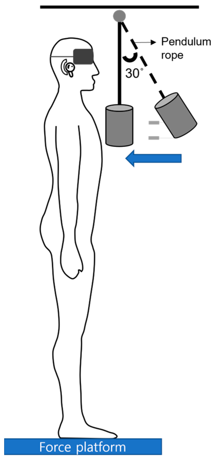 Bioengineering 11 00618 g001 Bioengineering 11 00618 g001