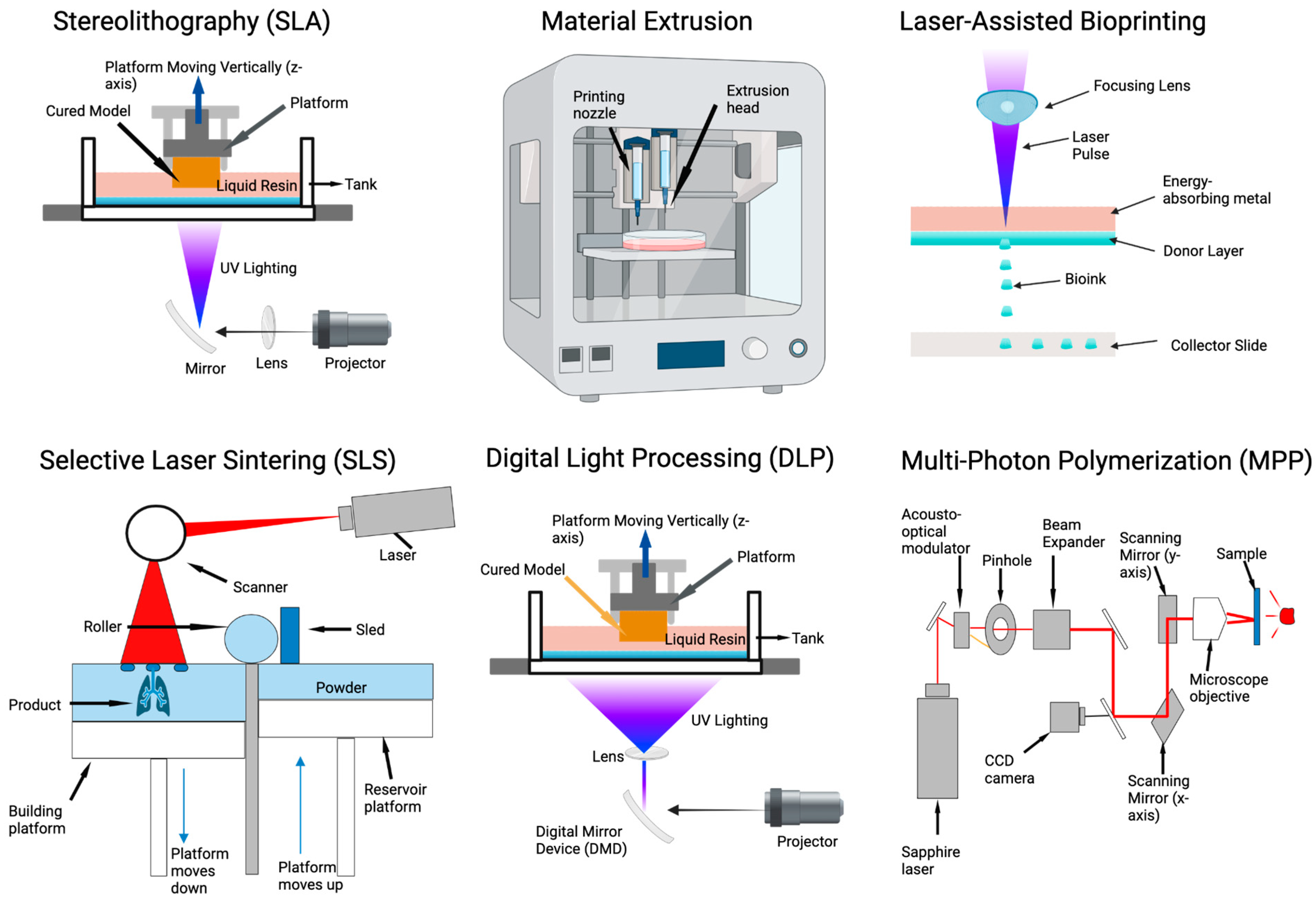 Bioengineering 11 00619 g003 Bioengineering 11 00619 g003