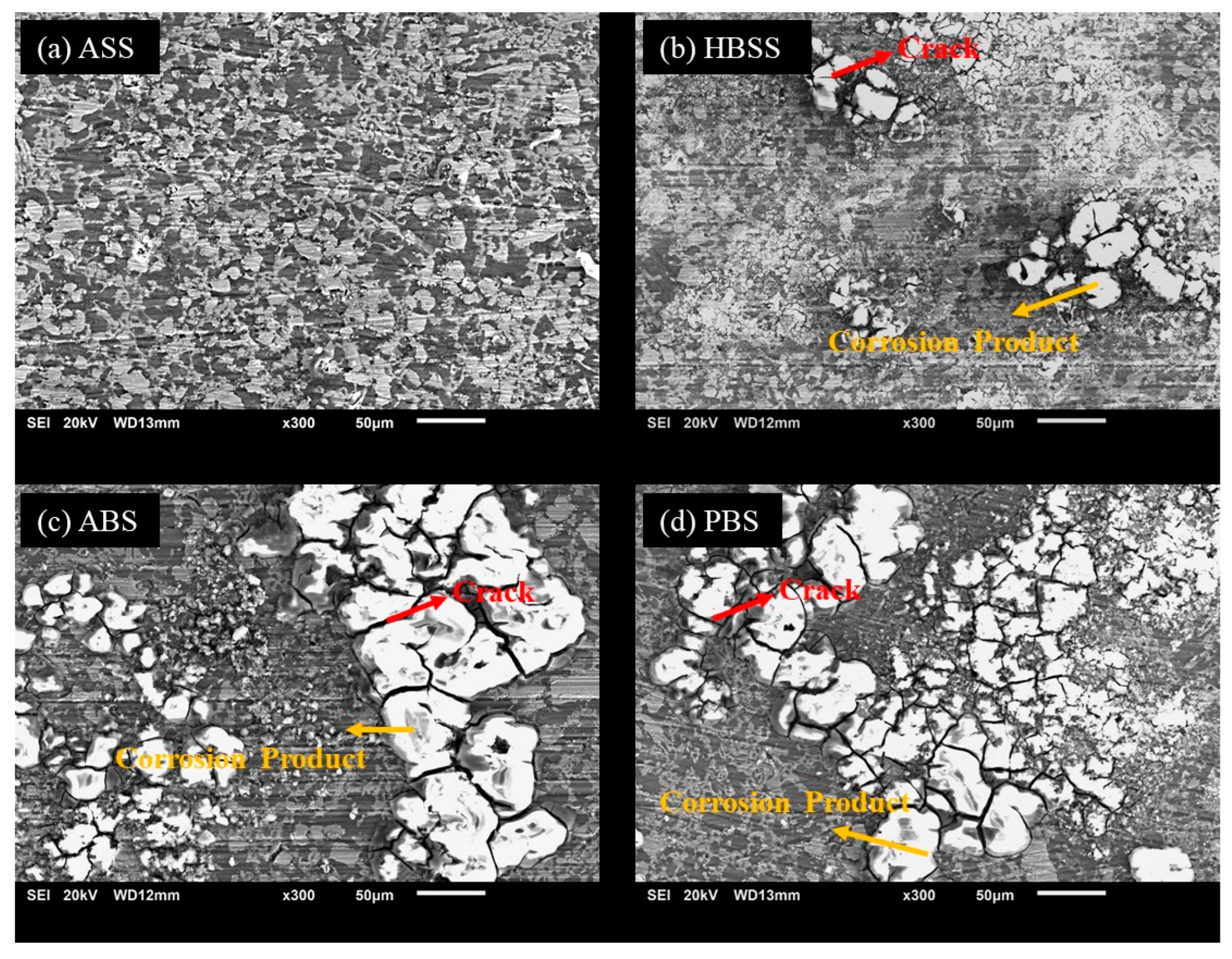 Bioengineering 11 00621 g004