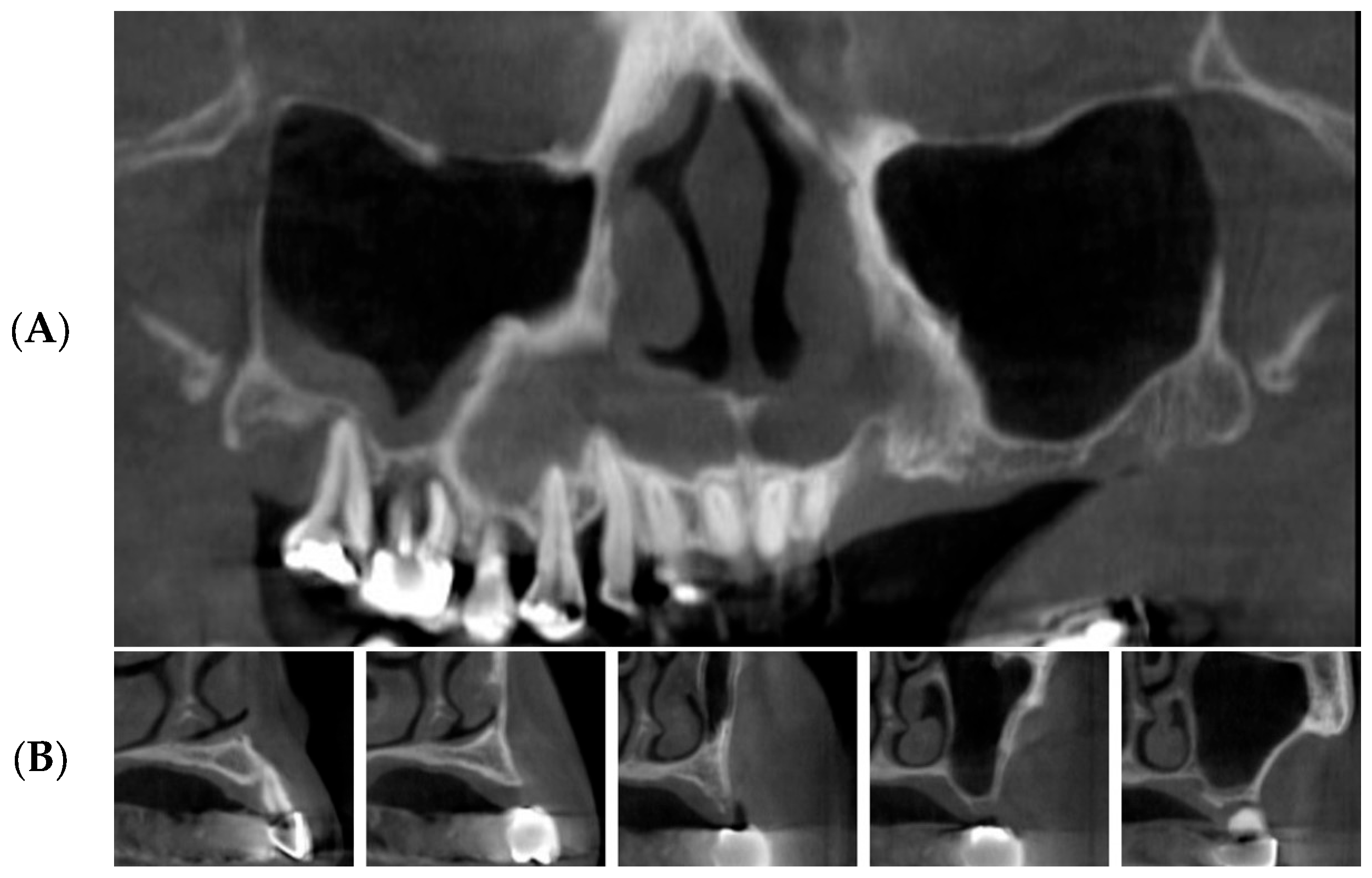Bioengineering 11 00633 g001