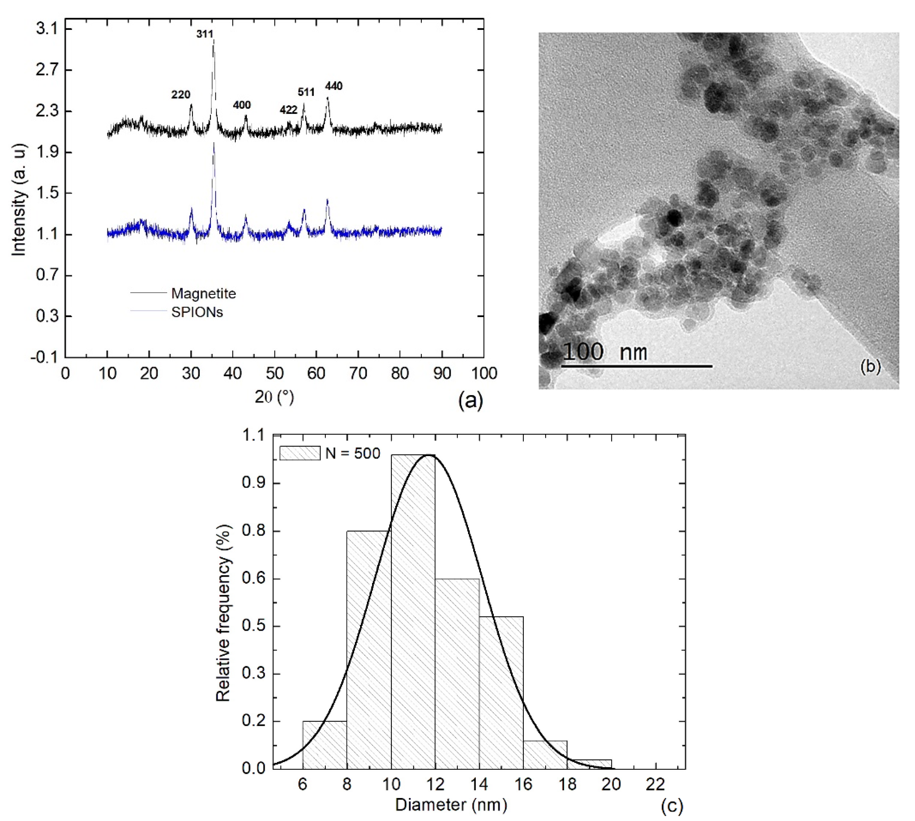 Bioengineering 11 00638 g001
