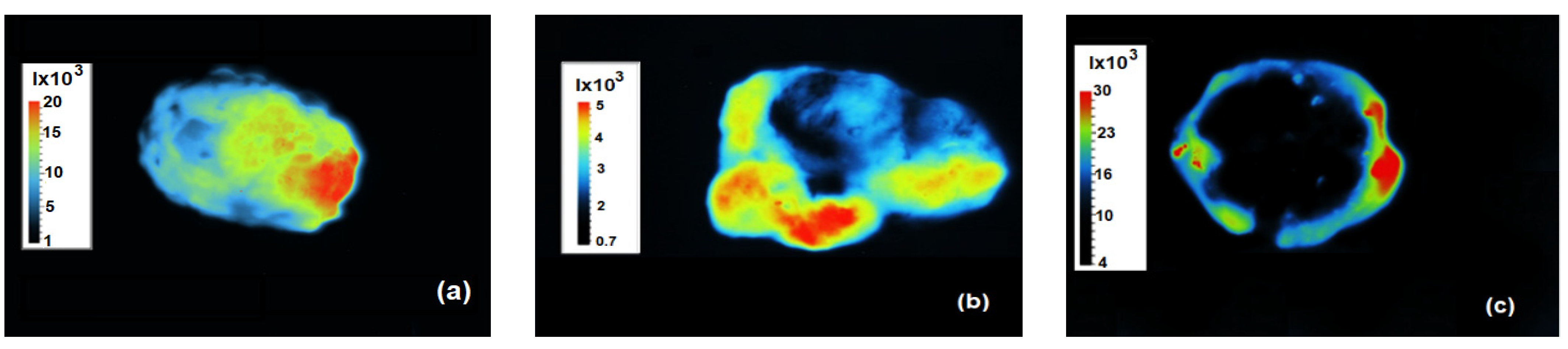 Bioengineering 11 00638 g010