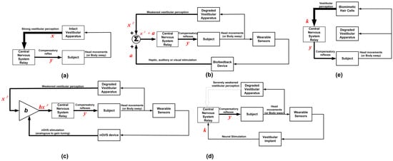 Bioengineering 11 00641 g003