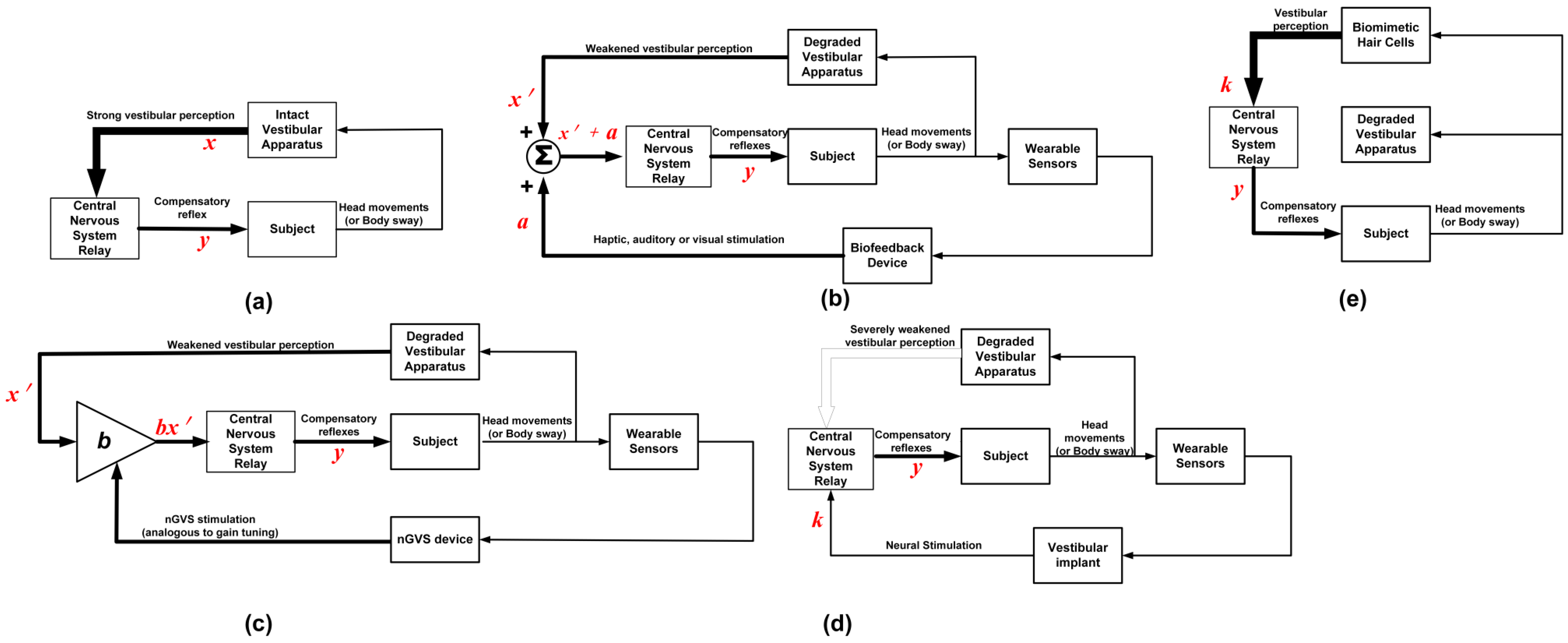 Bioengineering 11 00641 g003 Bioengineering 11 00641 g003