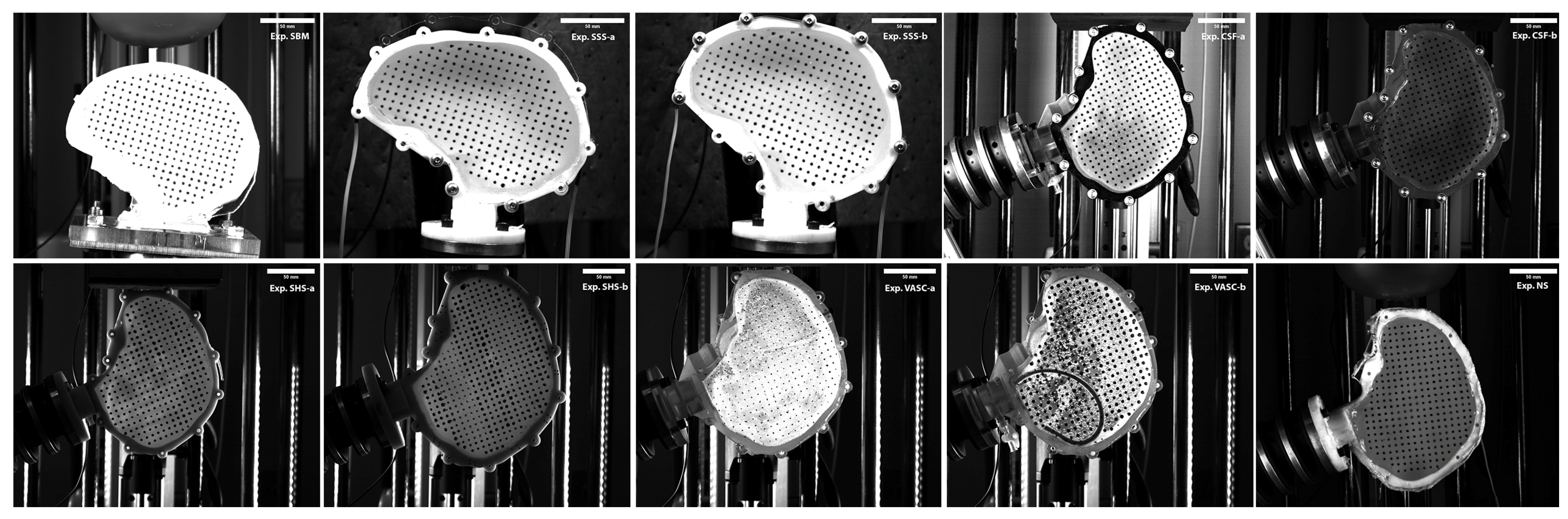 Bioengineering 11 00650 g001