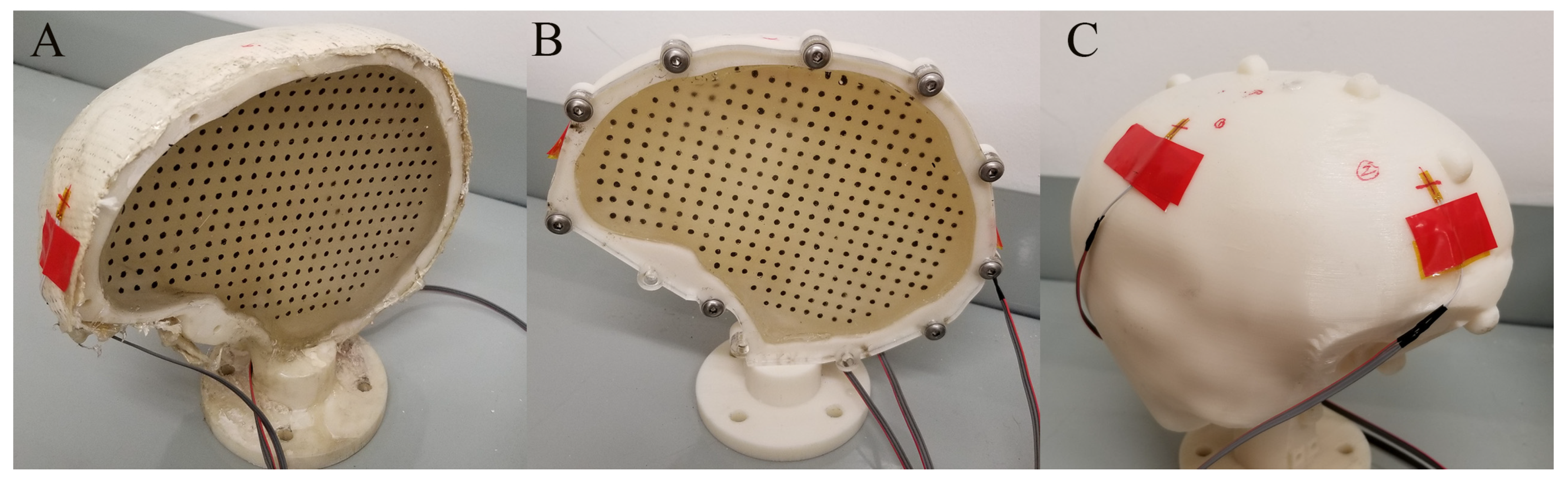 Bioengineering 11 00650 g002