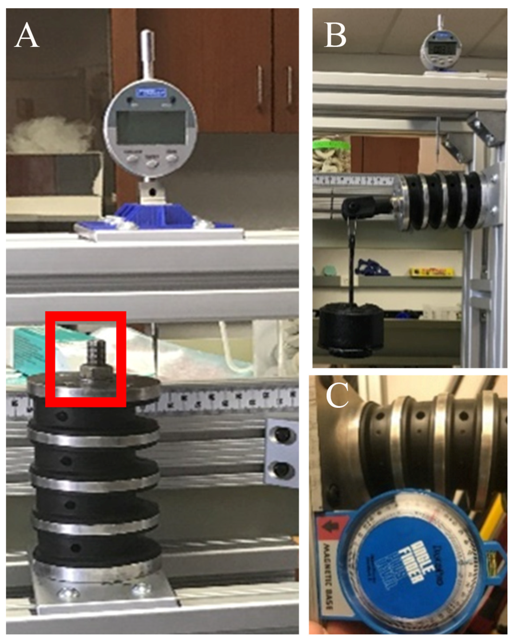 Bioengineering 11 00650 g003