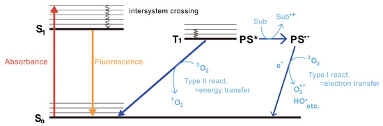 Bioengineering 11 00651 g002