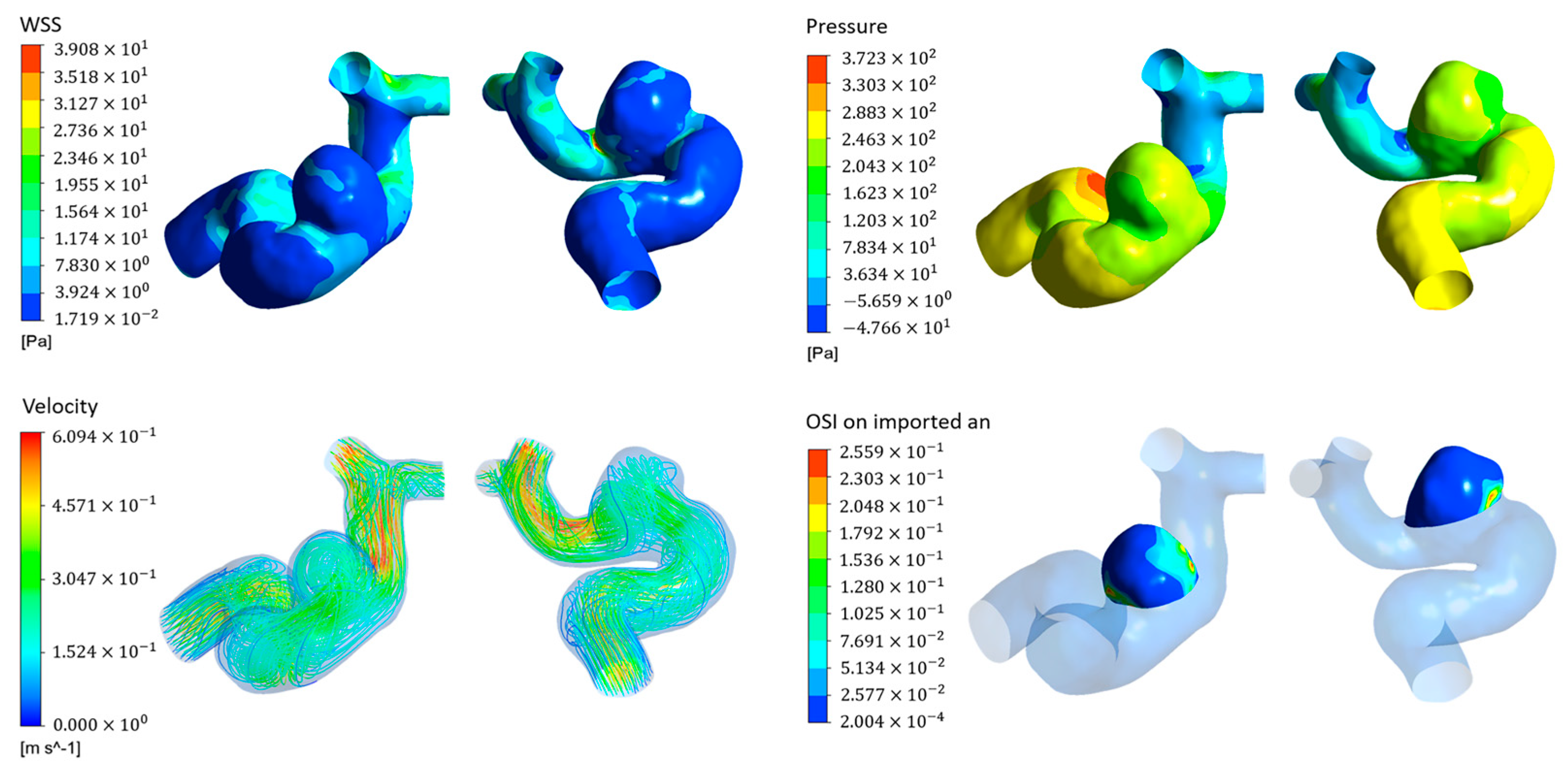 Bioengineering 11 00660 g003 Bioengineering 11 00660 g003