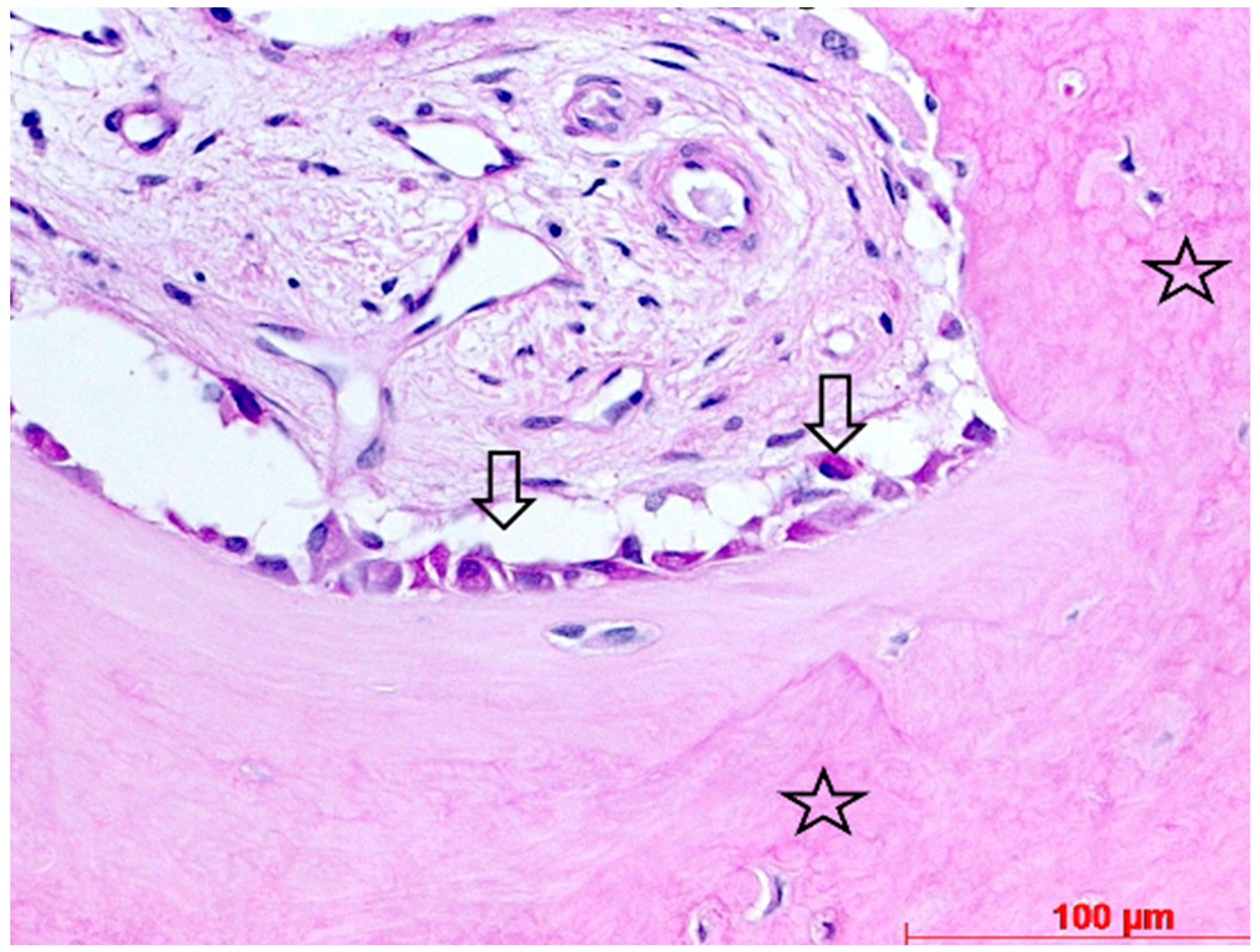 Bioengineering 11 00665 g013