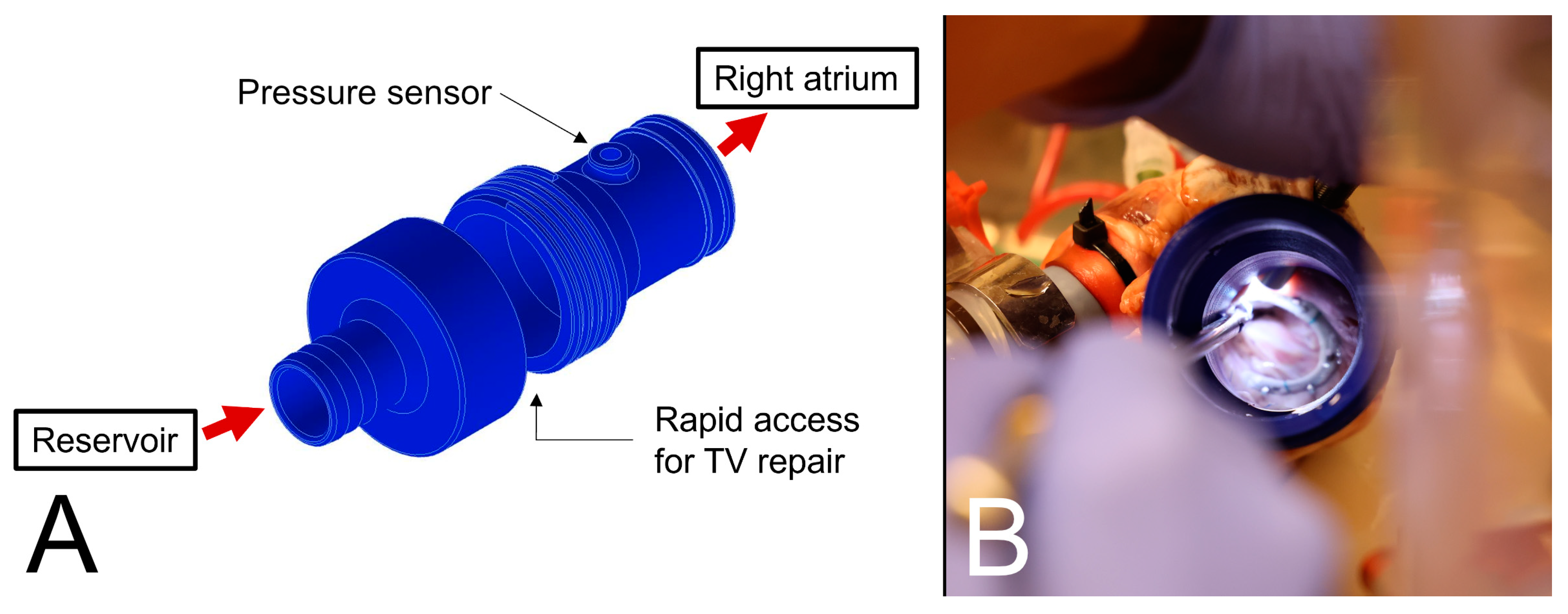 Bioengineering 11 00666 g002