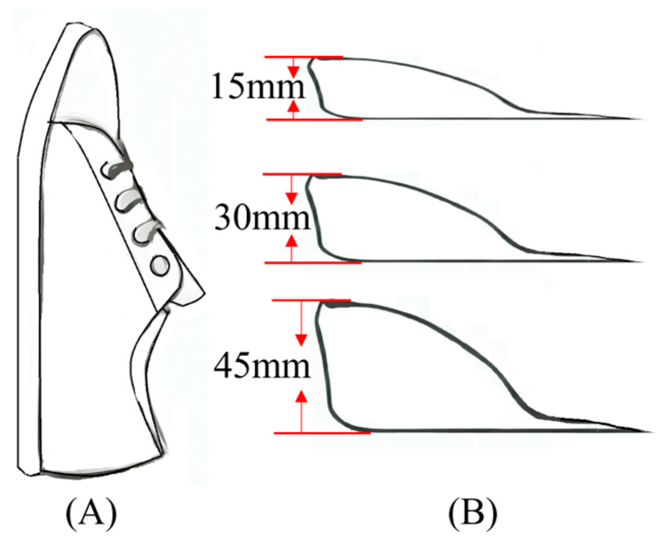 Bioengineering 11 00667 g001 Bioengineering 11 00667 g001