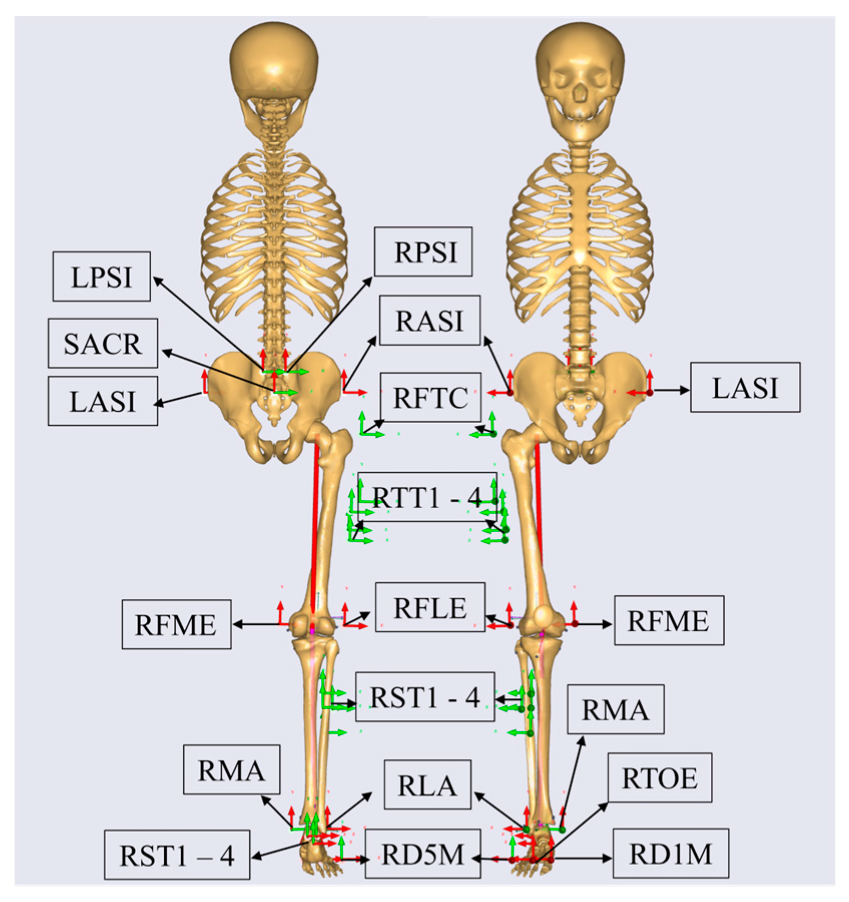 Bioengineering 11 00667 g002 Bioengineering 11 00667 g002