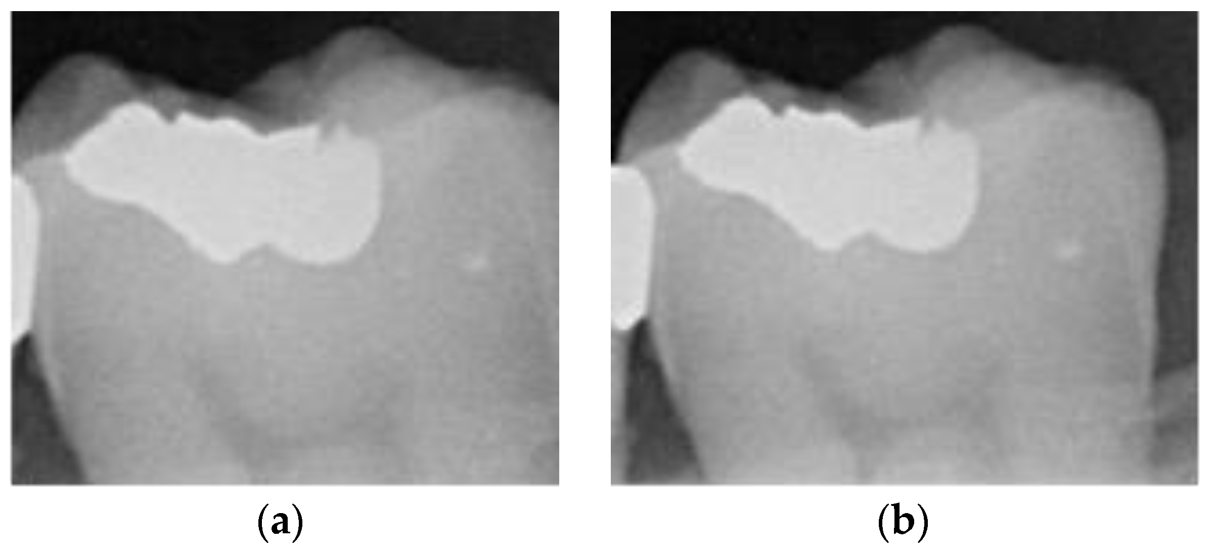 Bioengineering 11 00675 g003