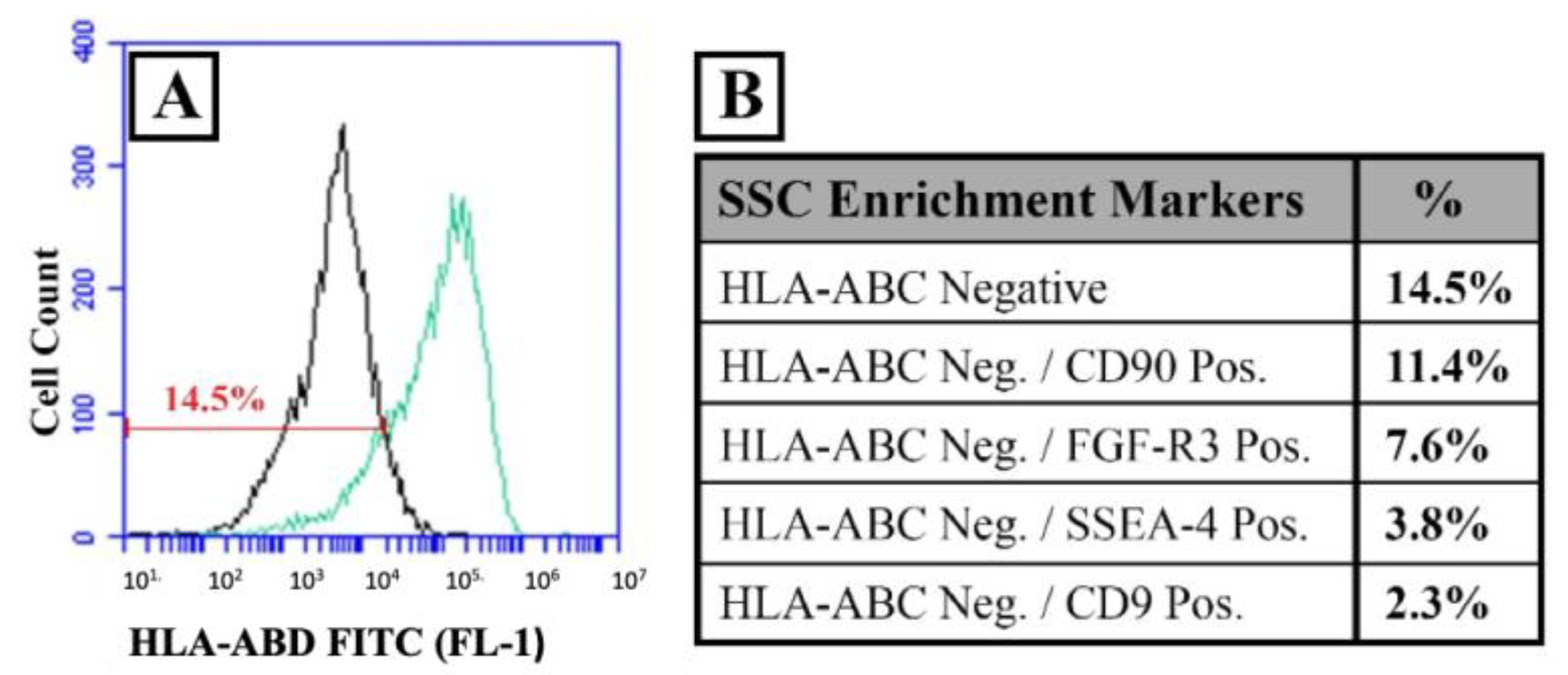 Bioengineering 11 00677 g004