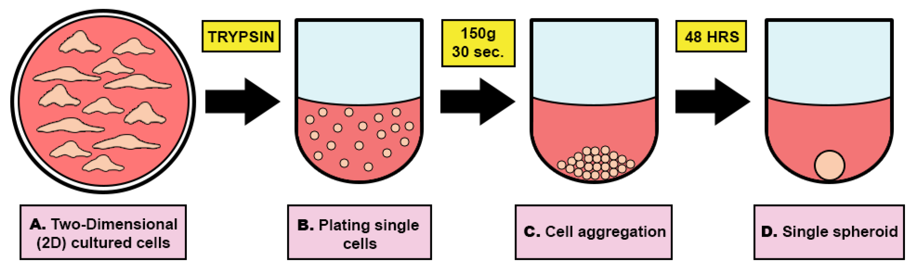 Bioengineering 11 00677 g005