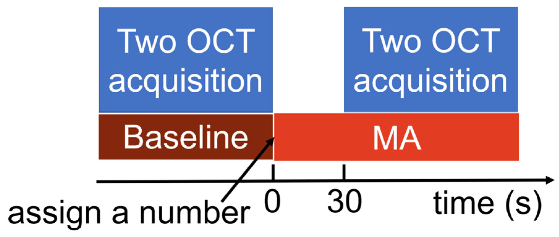 Bioengineering 11 00684 g001
