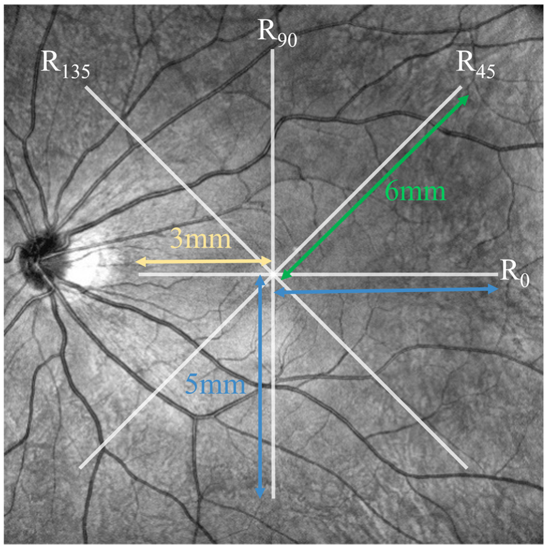 Bioengineering 11 00684 g002