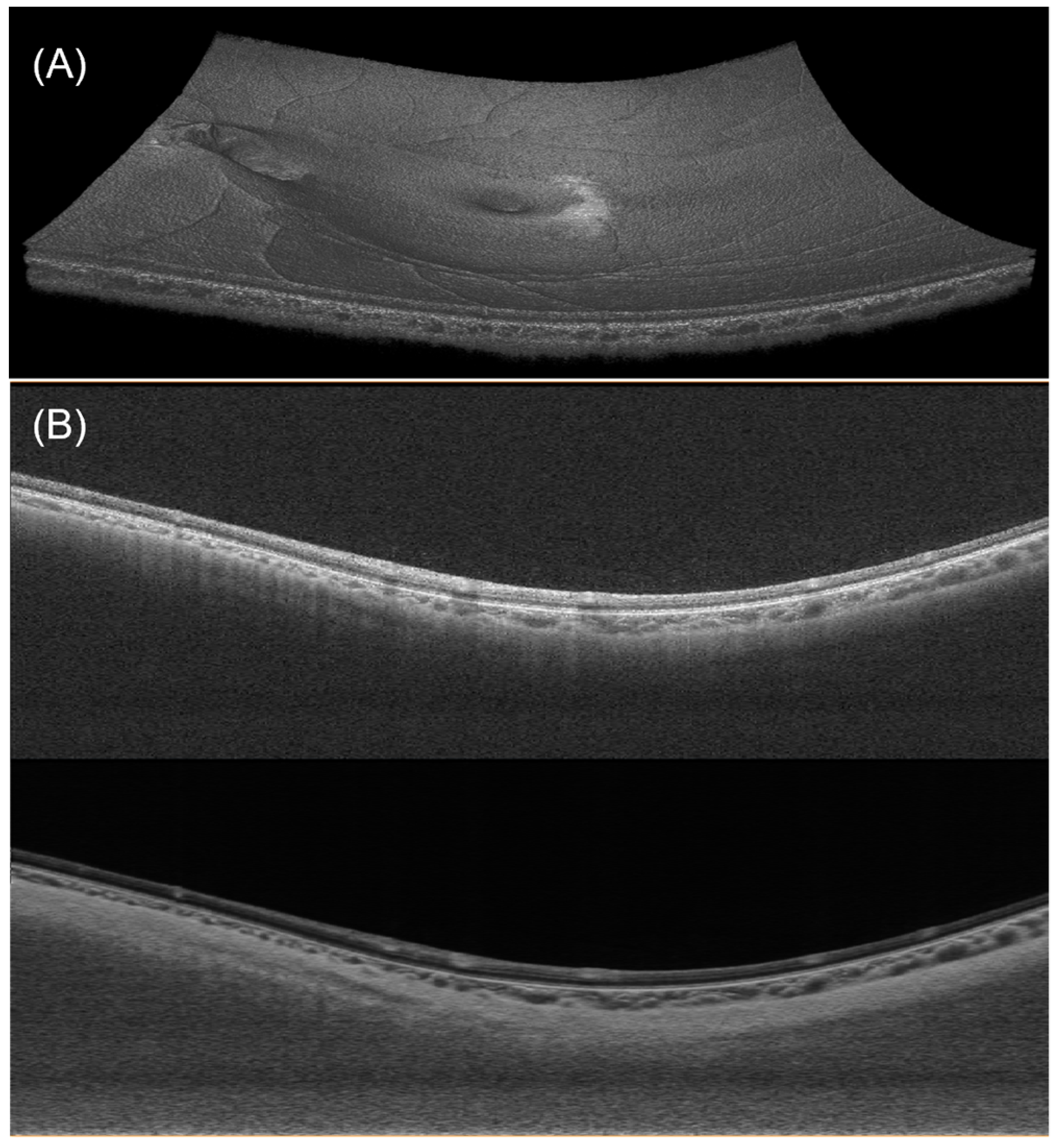 Bioengineering 11 00684 g003