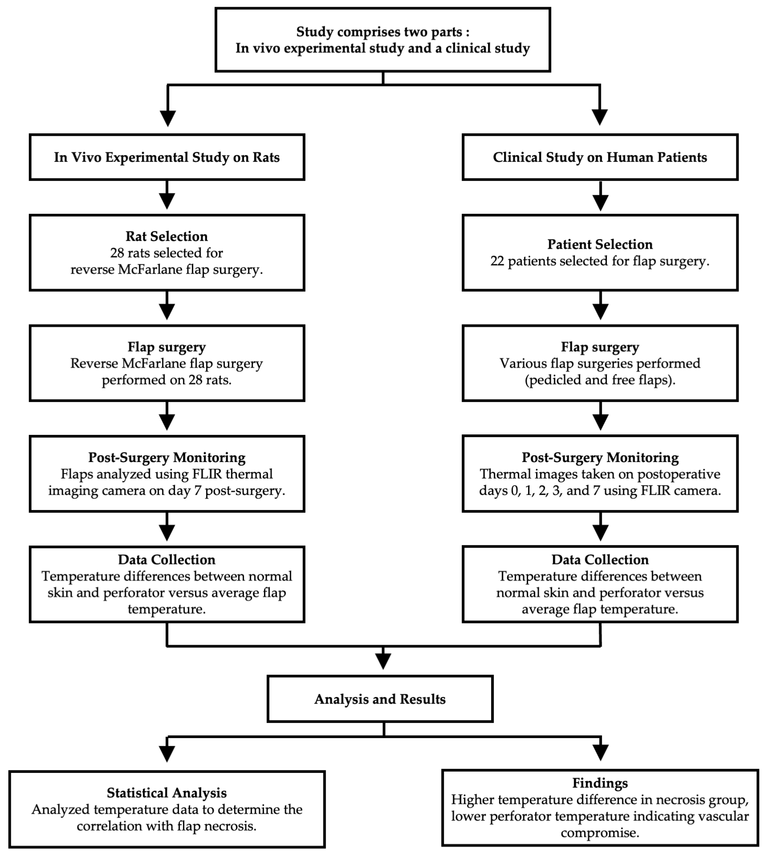 Bioengineering 11 00688 g001