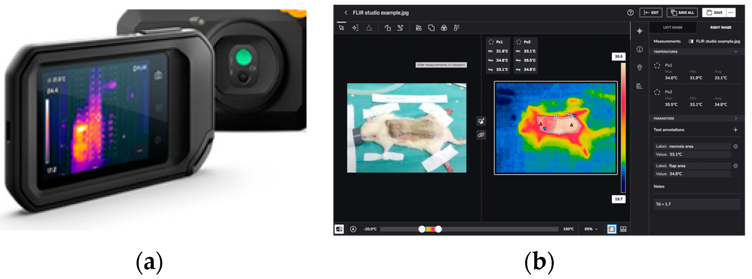 Bioengineering 11 00688 g003