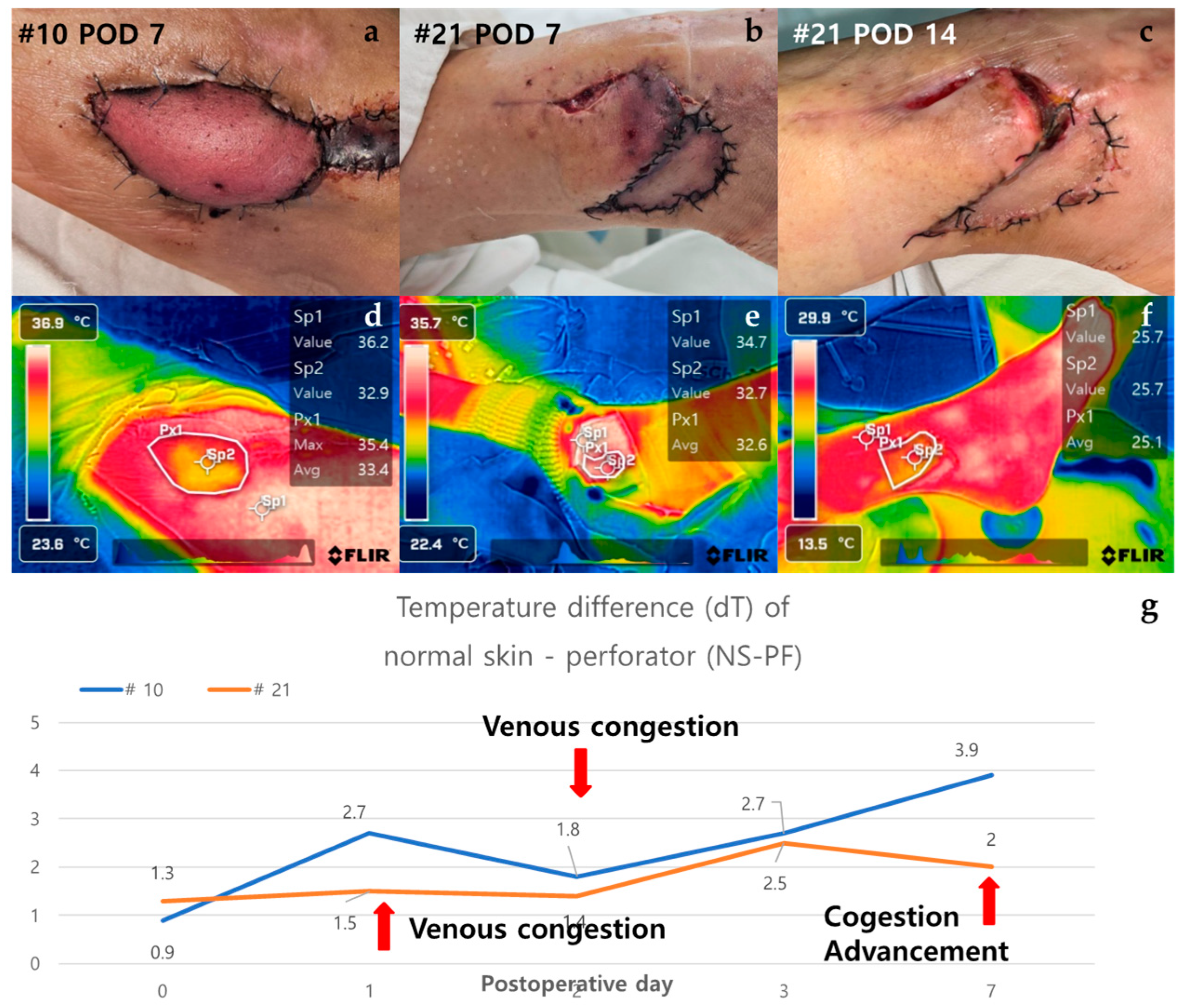 Bioengineering 11 00688 g007