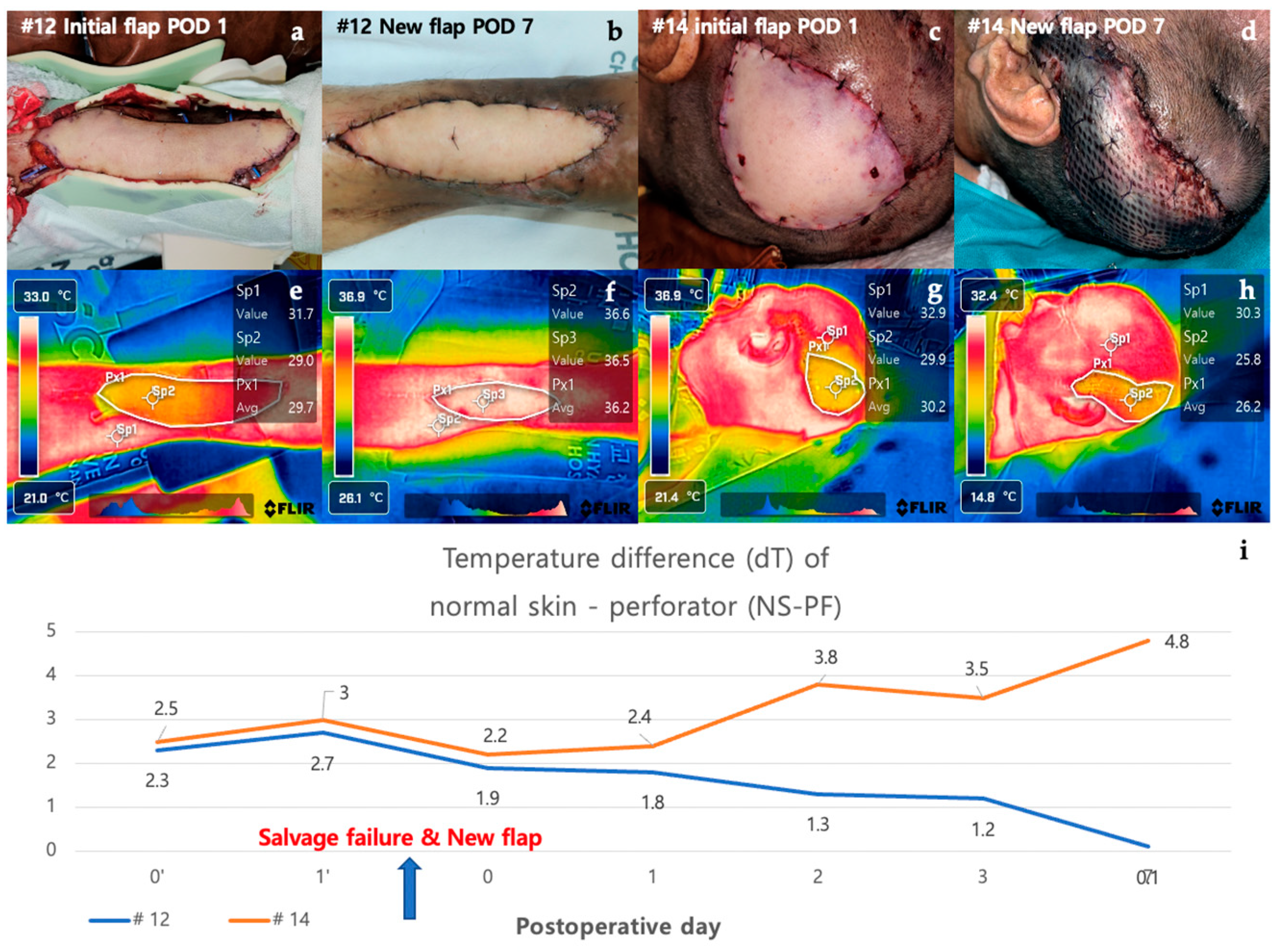 Bioengineering 11 00688 g008
