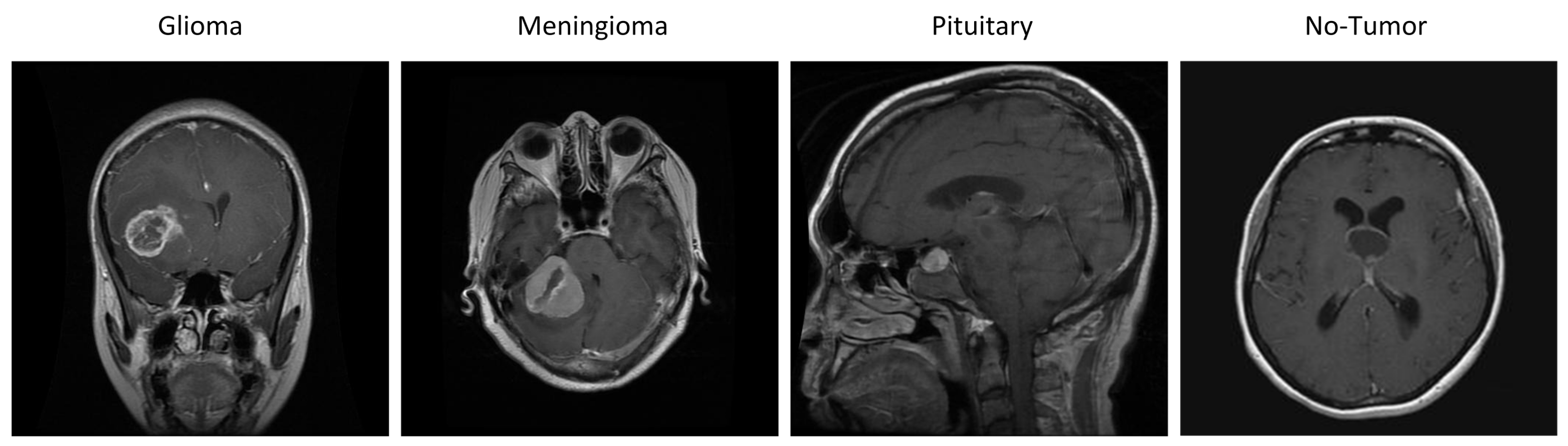 Bioengineering 11 00701 g002