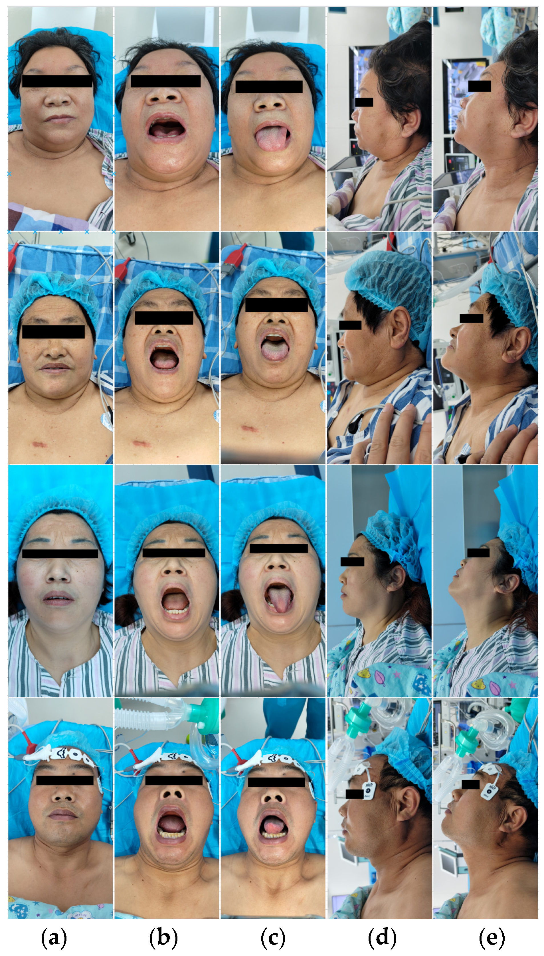 Bioengineering 11 00703 g001