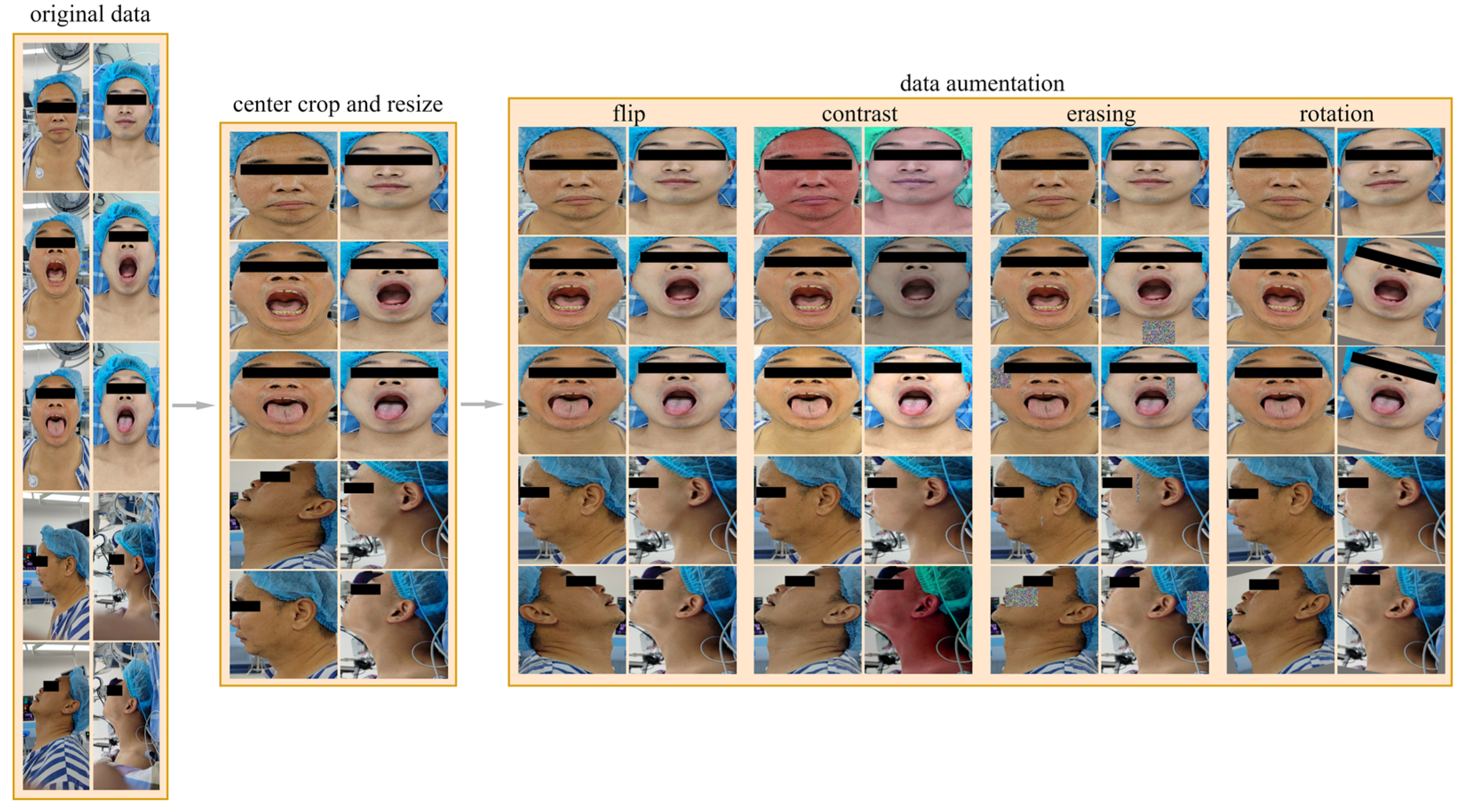 Bioengineering 11 00703 g002