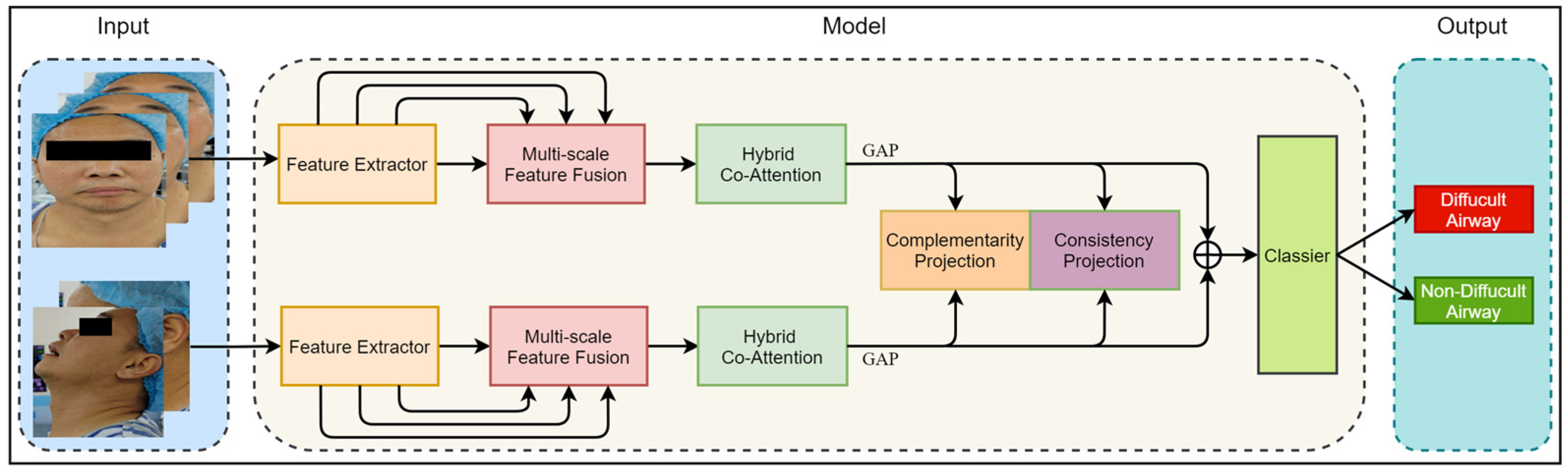 Bioengineering 11 00703 g003