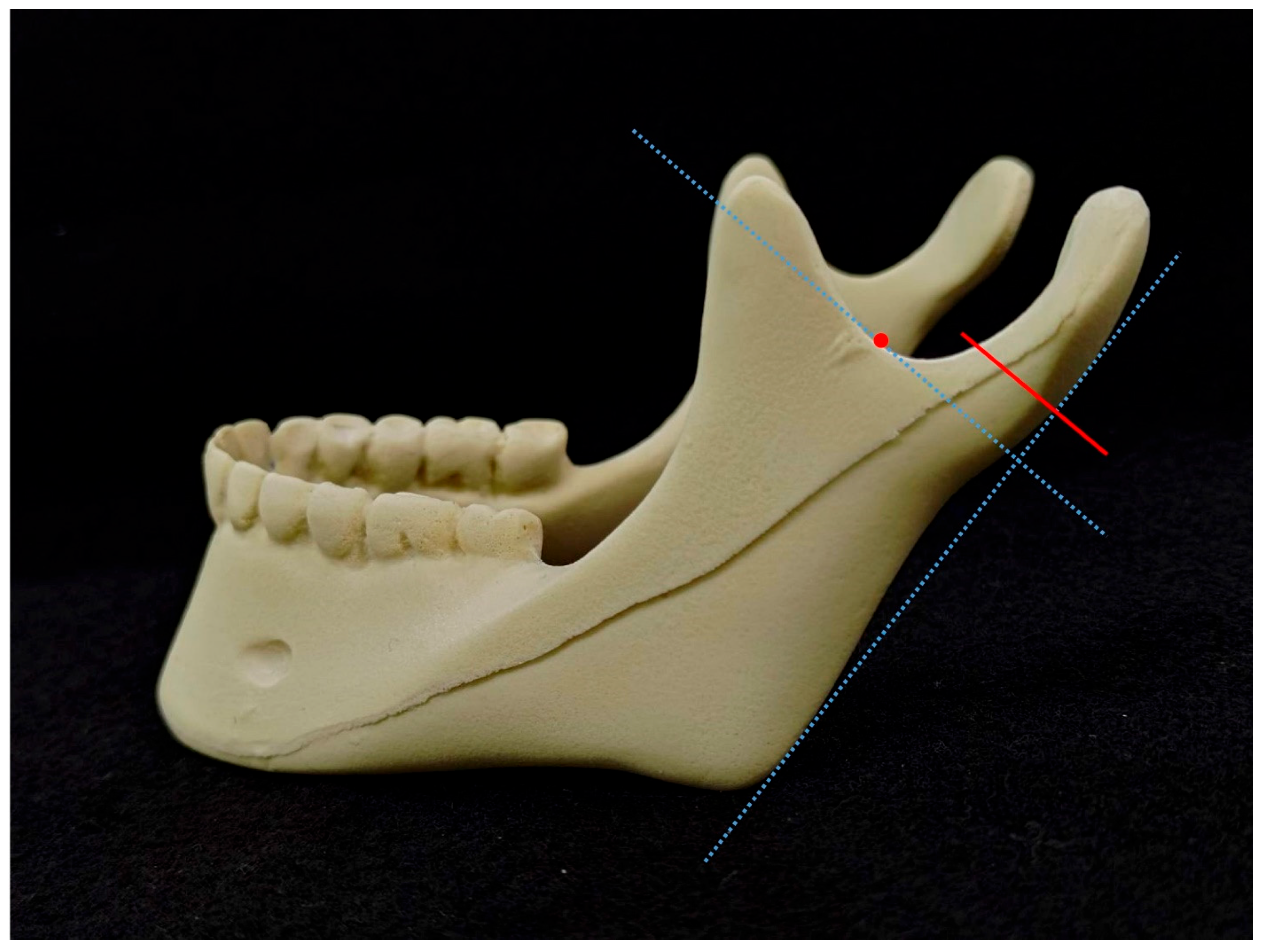Bioengineering 11 00704 g002