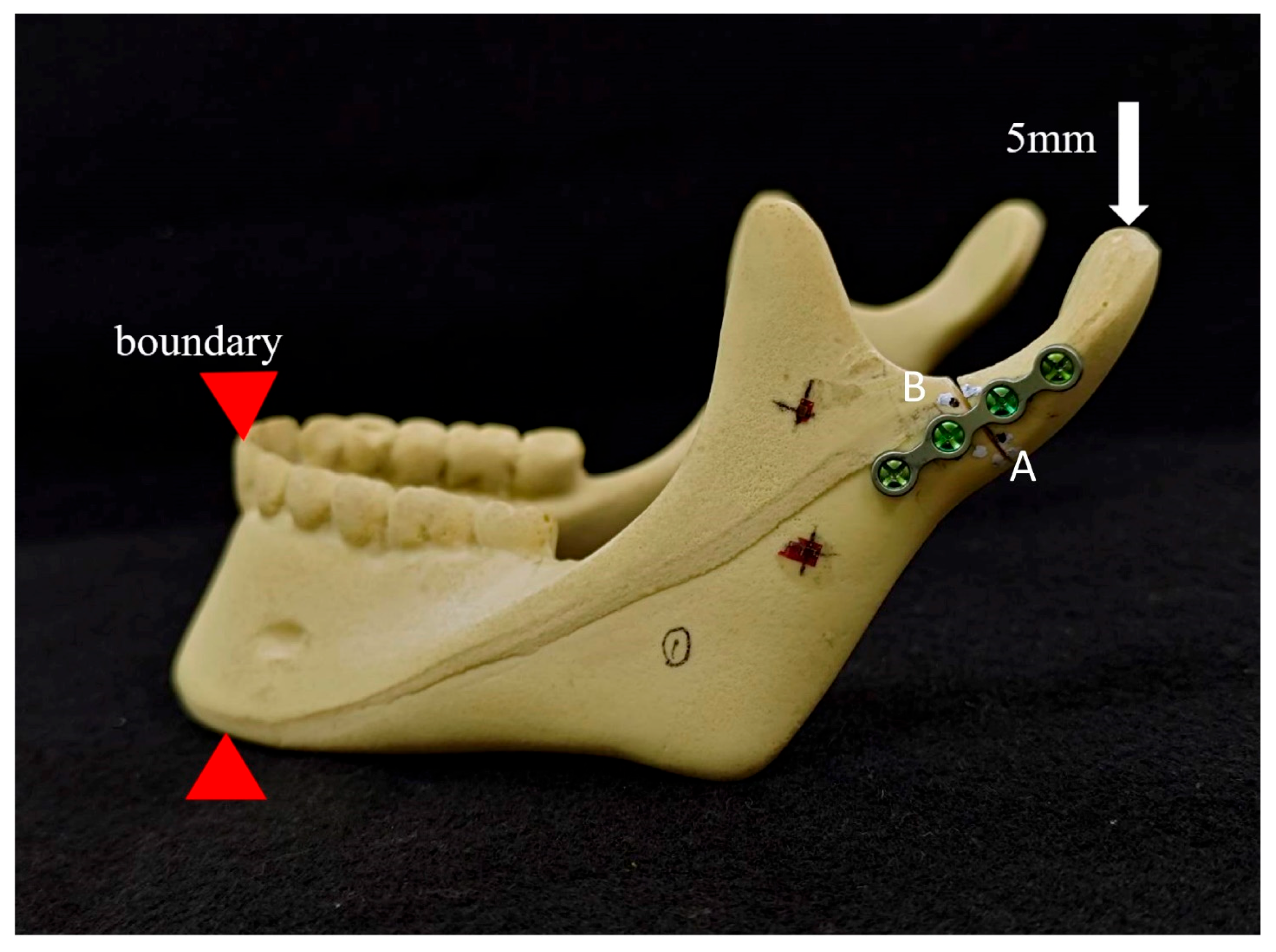 Bioengineering 11 00704 g004
