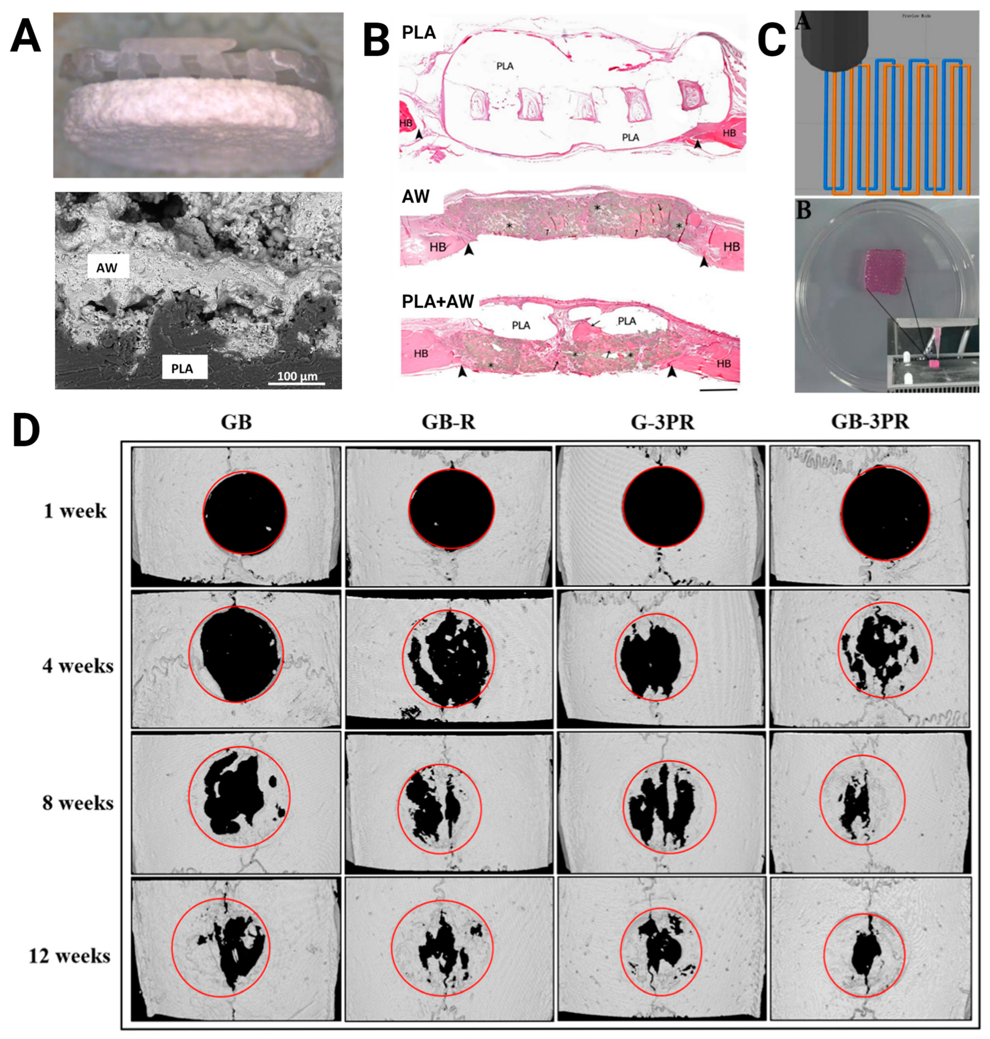 Bioengineering 11 00705 g002 Bioengineering 11 00705 g002