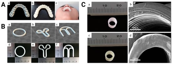 Bioengineering 11 00705 g003