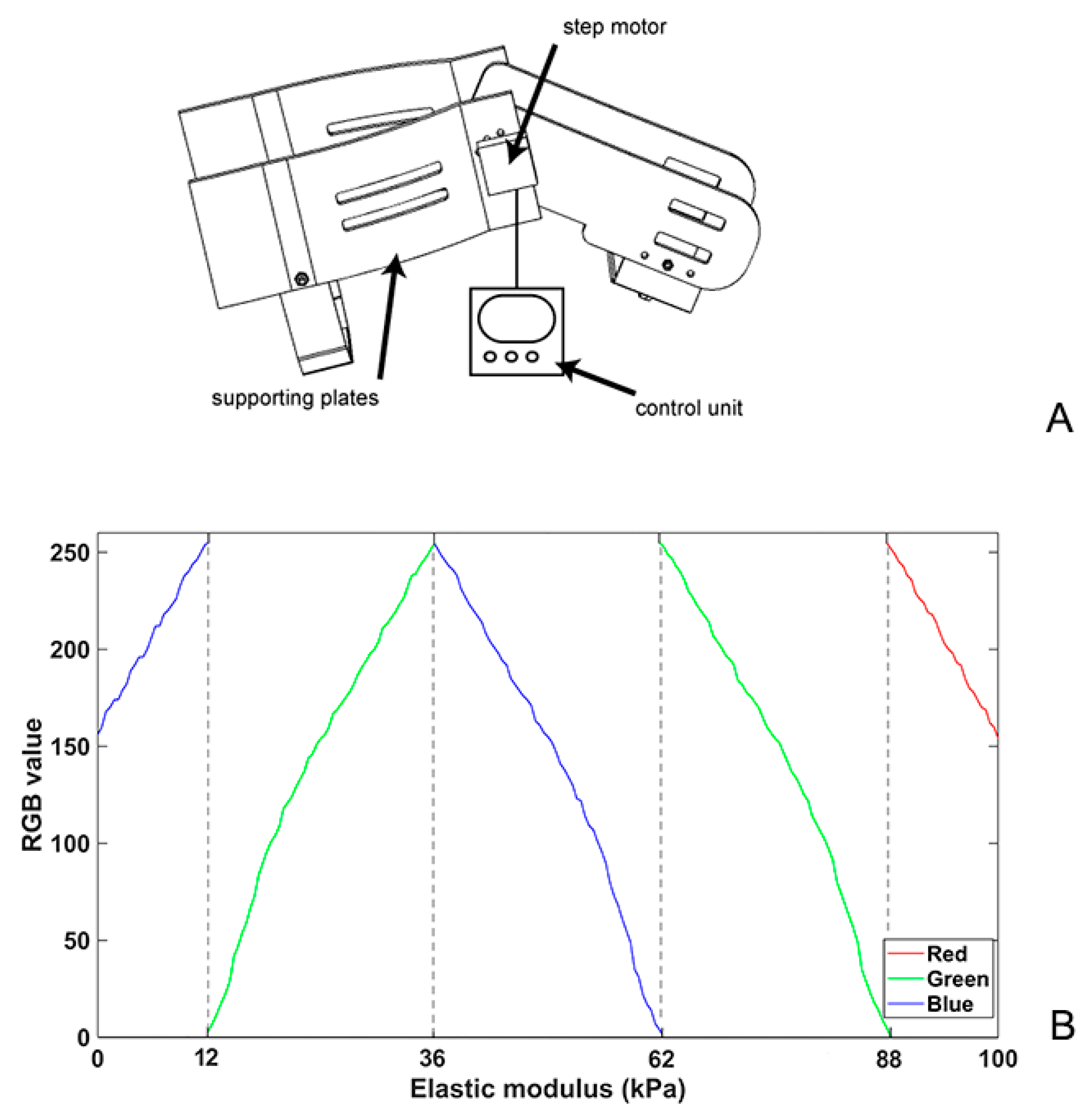 Bioengineering 11 00706 g001